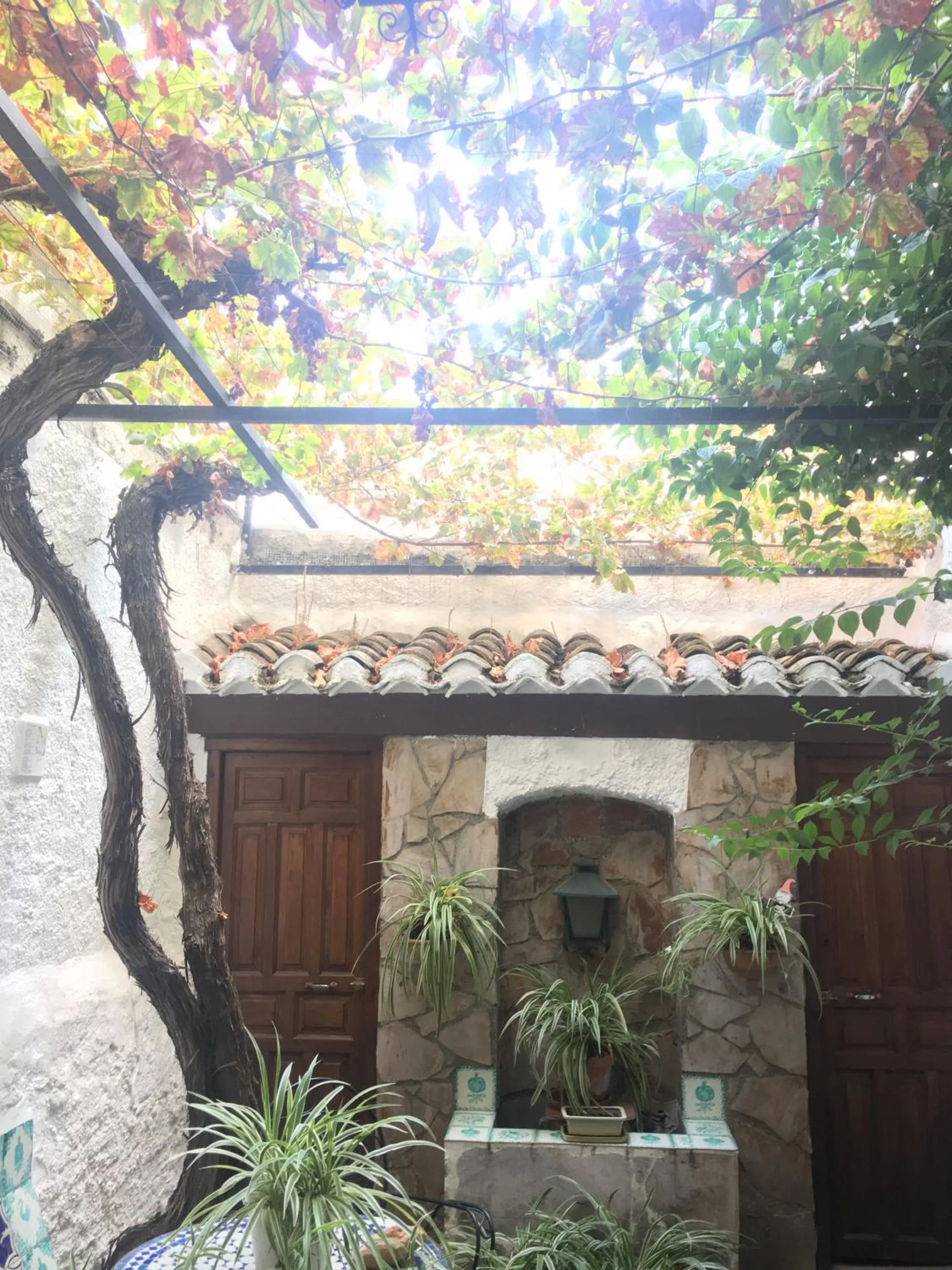 Patio in Patio Granada