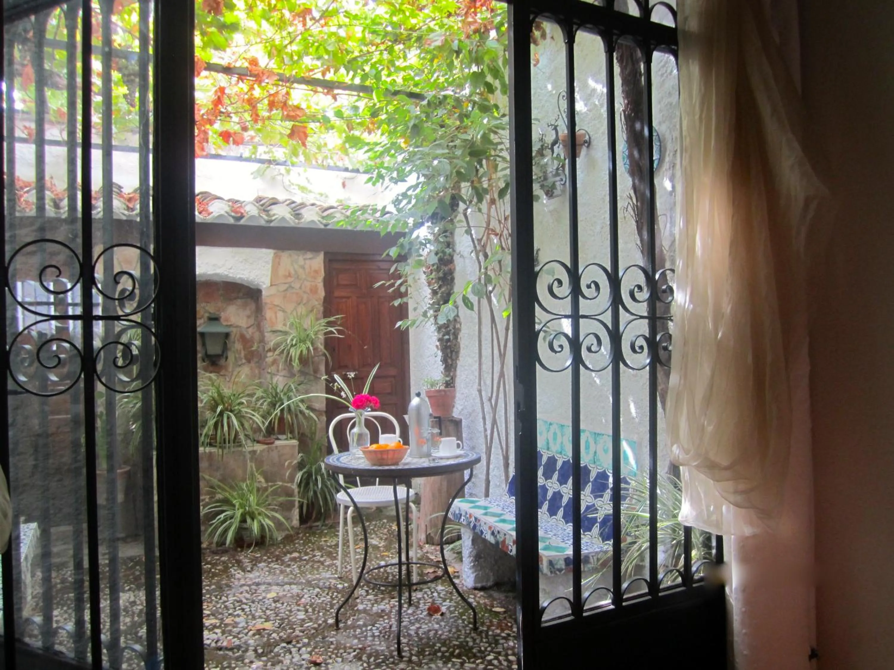 Garden in Patio Granada