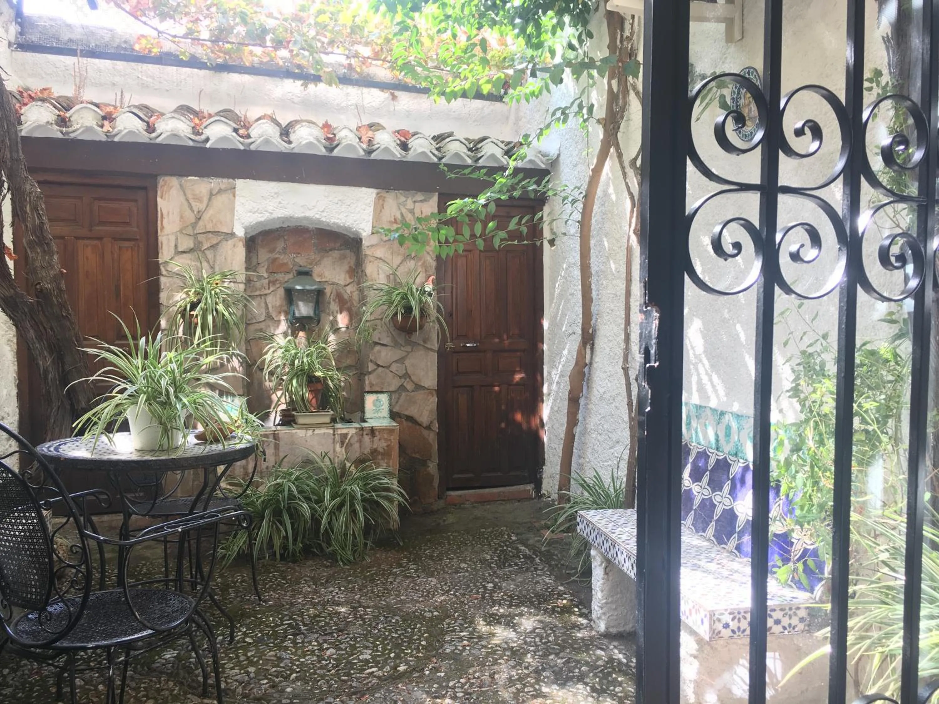 Garden view in Patio Granada