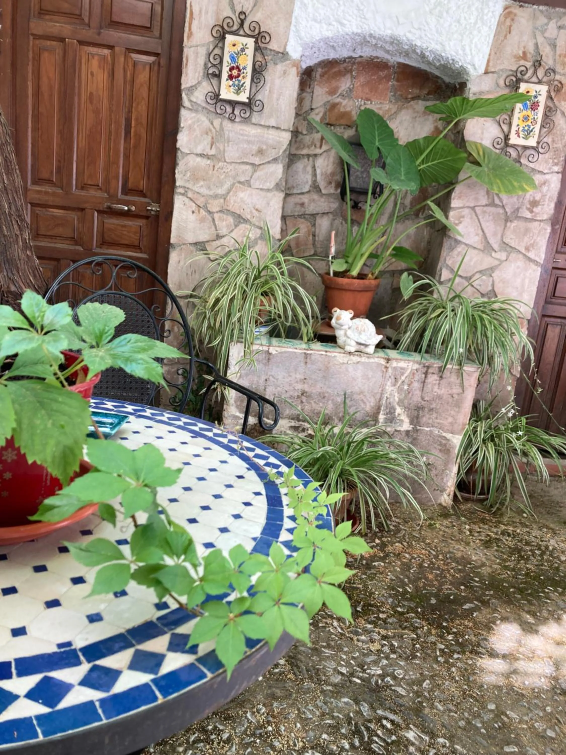 Garden in Patio Granada
