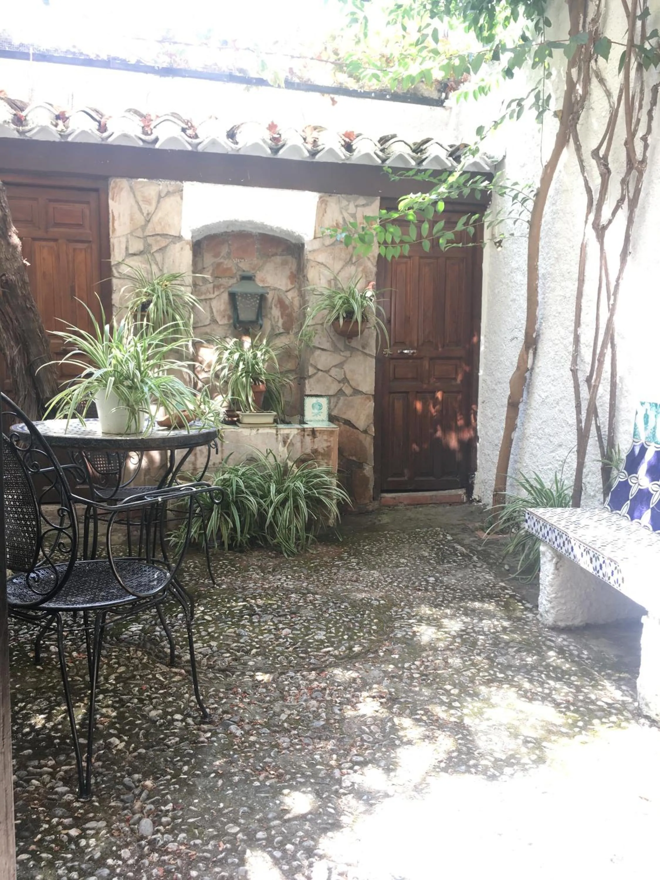 Garden in Patio Granada