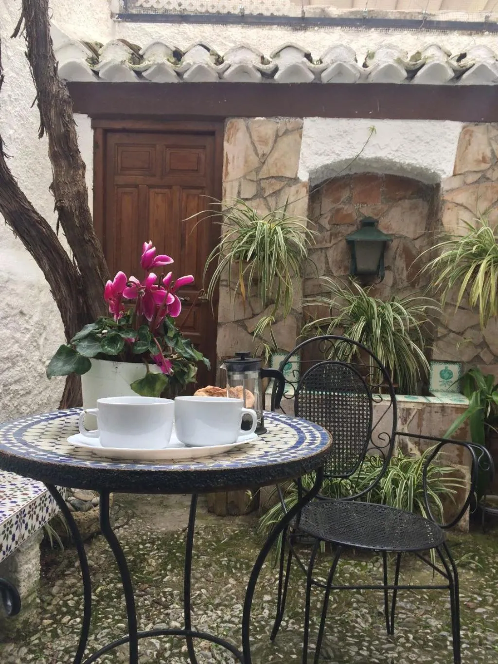 Garden in Patio Granada