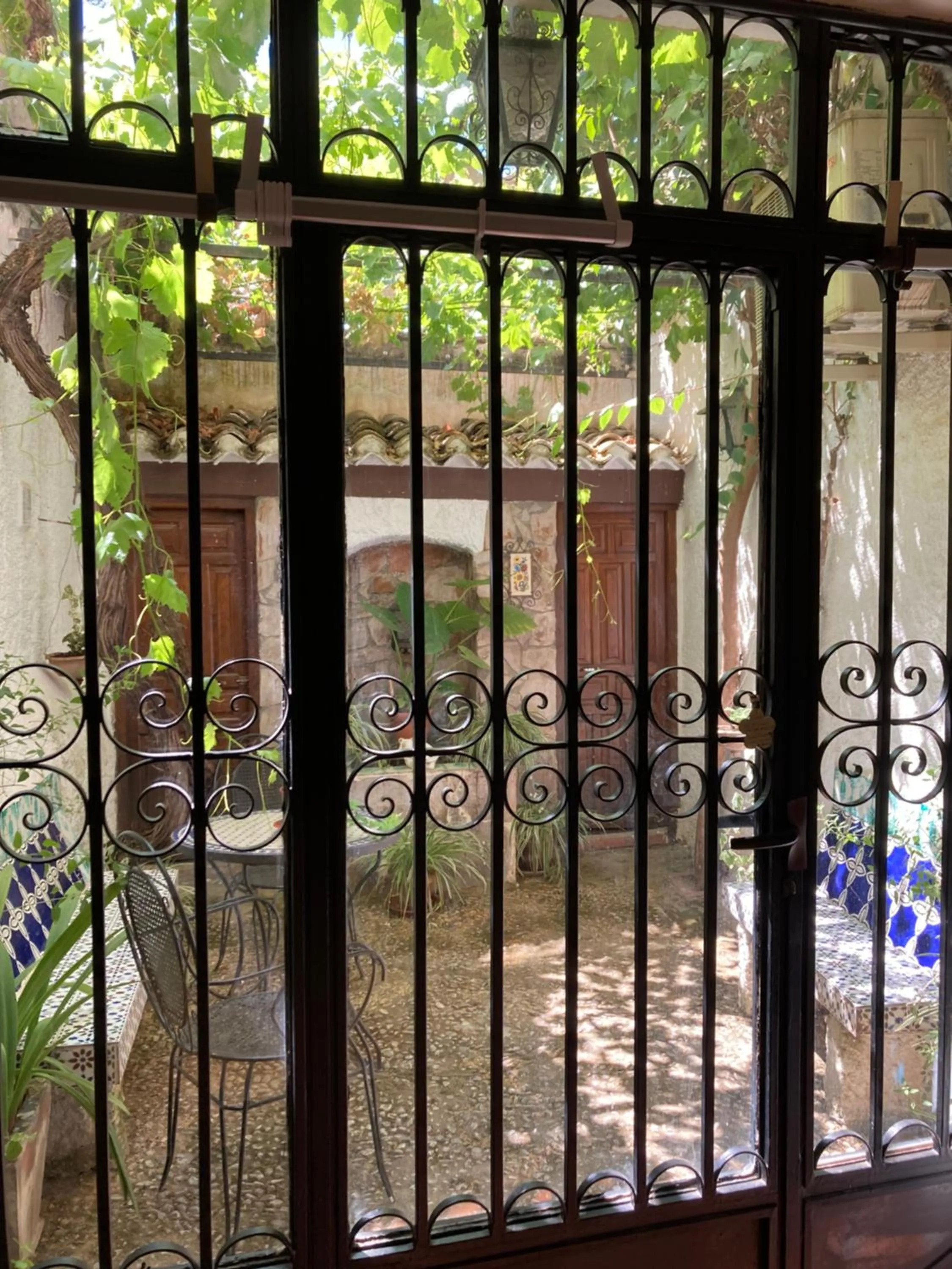 Garden in Patio Granada