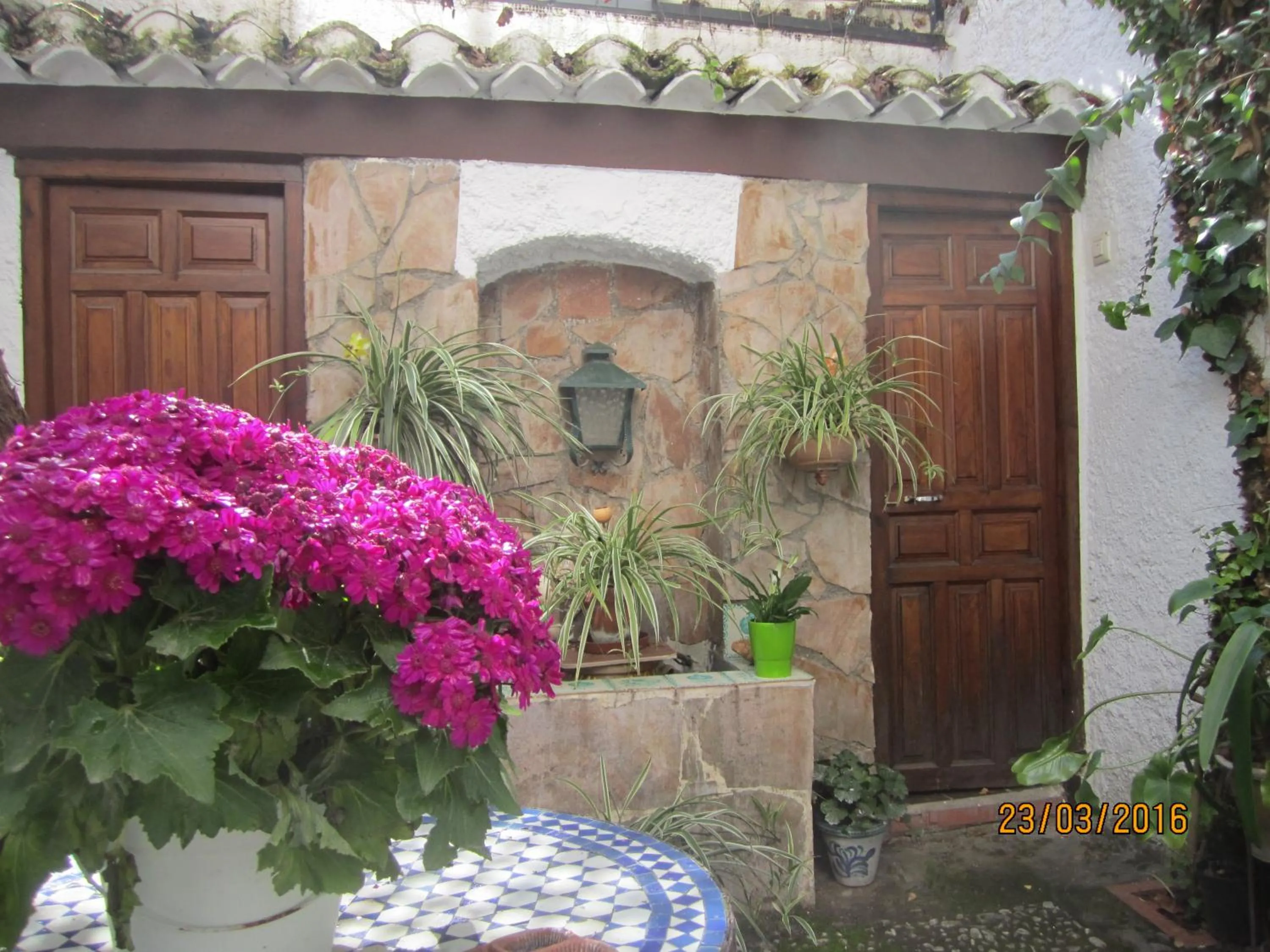 Garden in Patio Granada