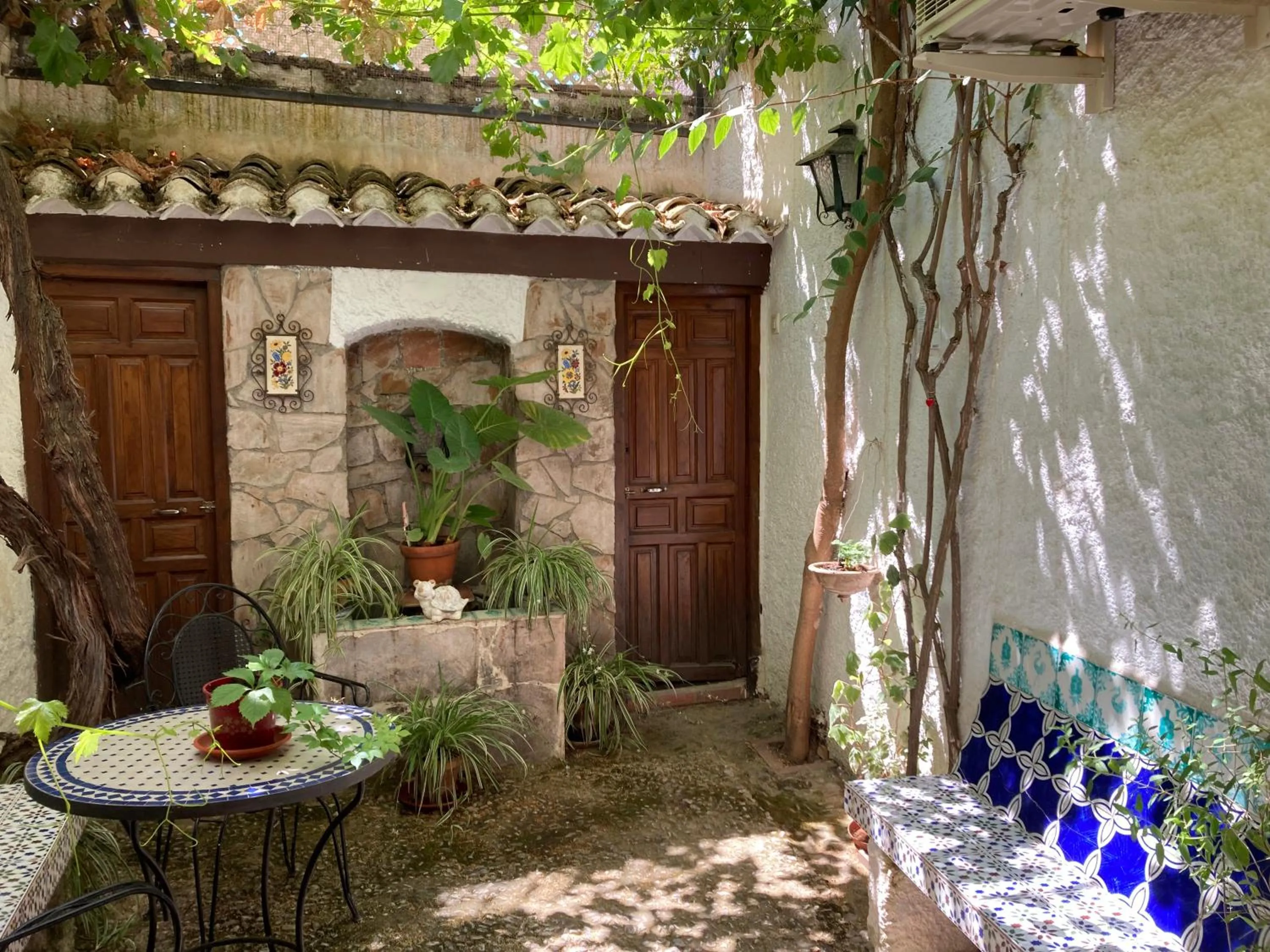 Garden in Patio Granada