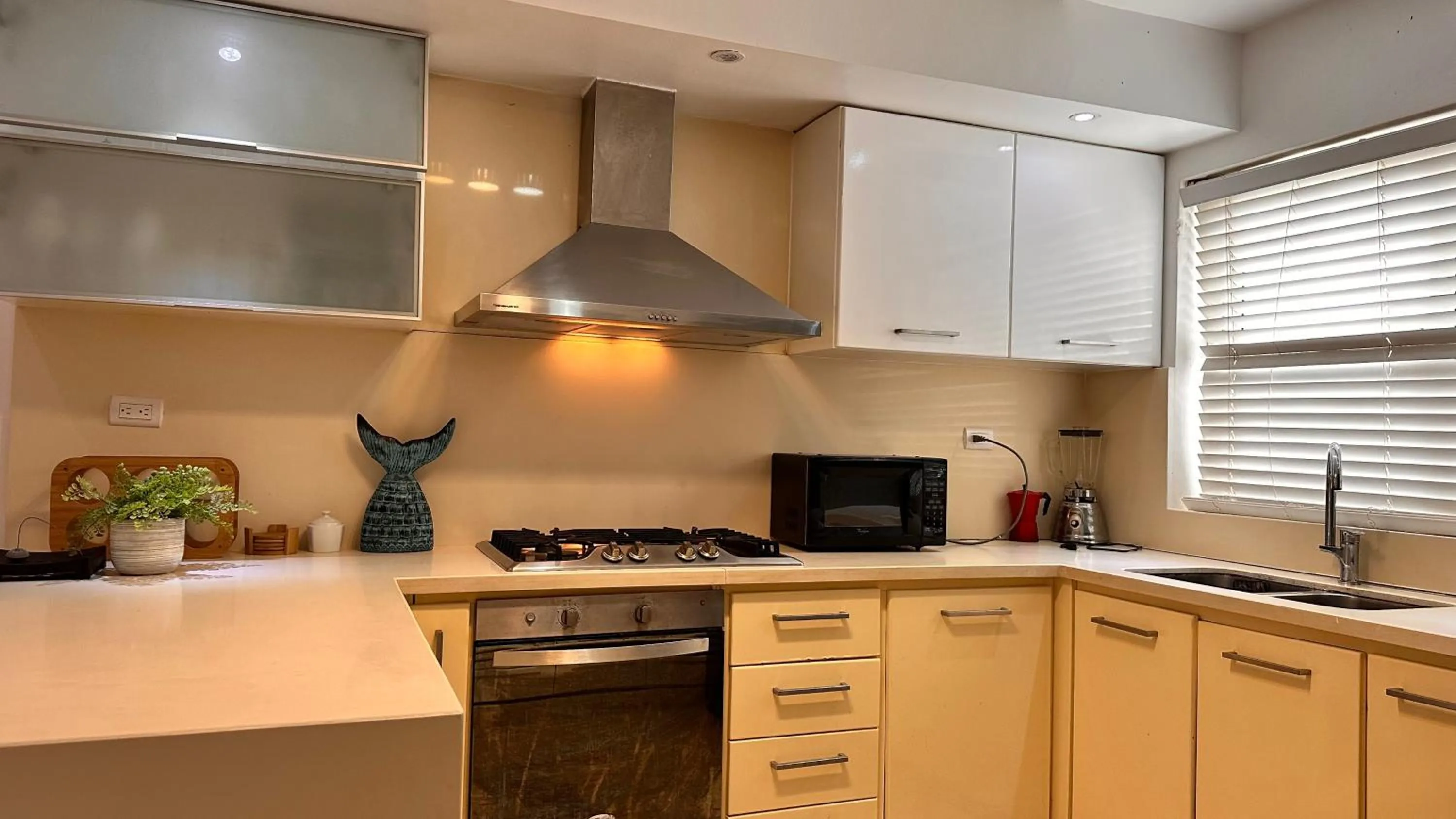 Kitchen or kitchenette in Stanza Mare Beach Front