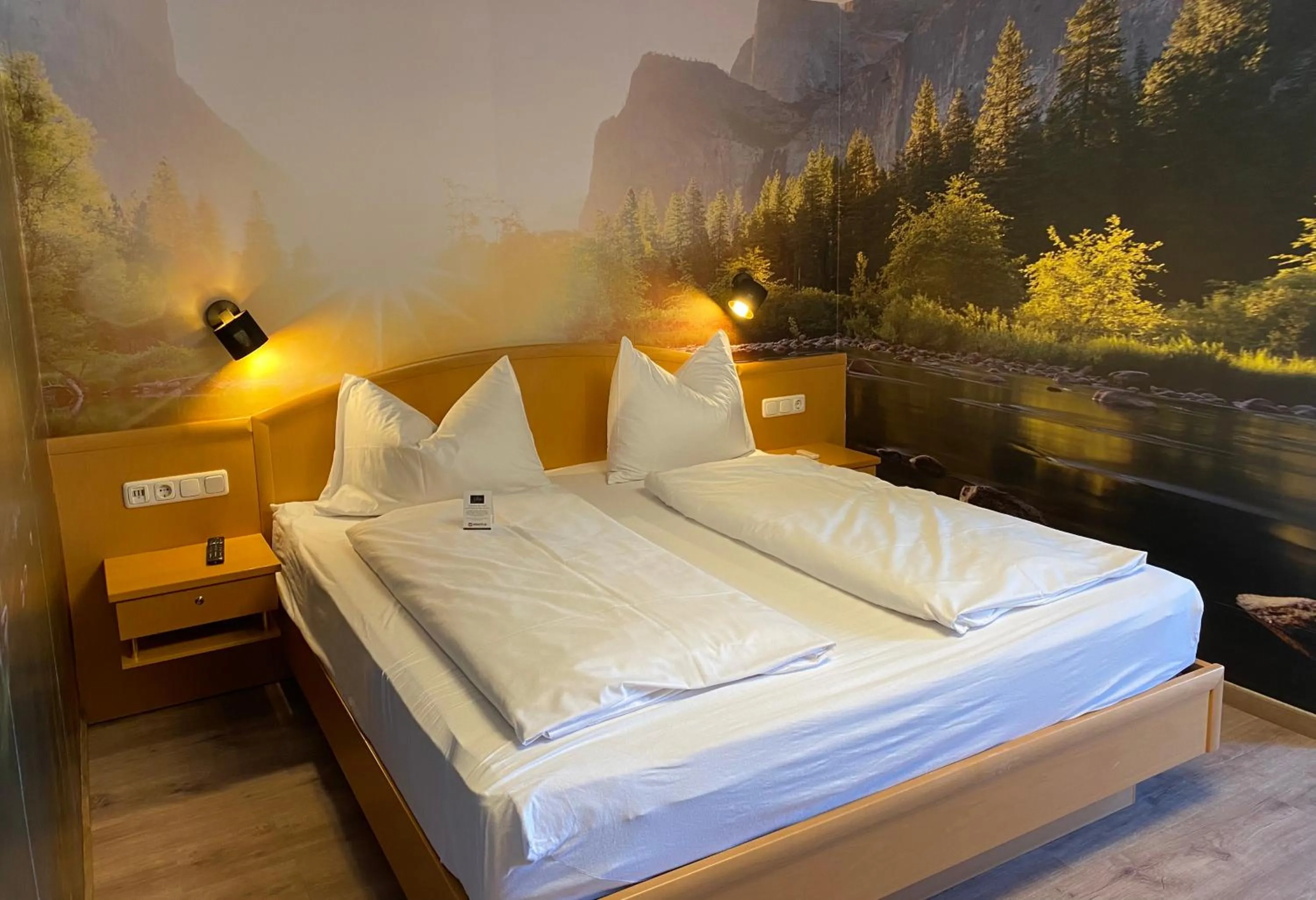 Photo of the whole room, Bed in Hotel Acherl