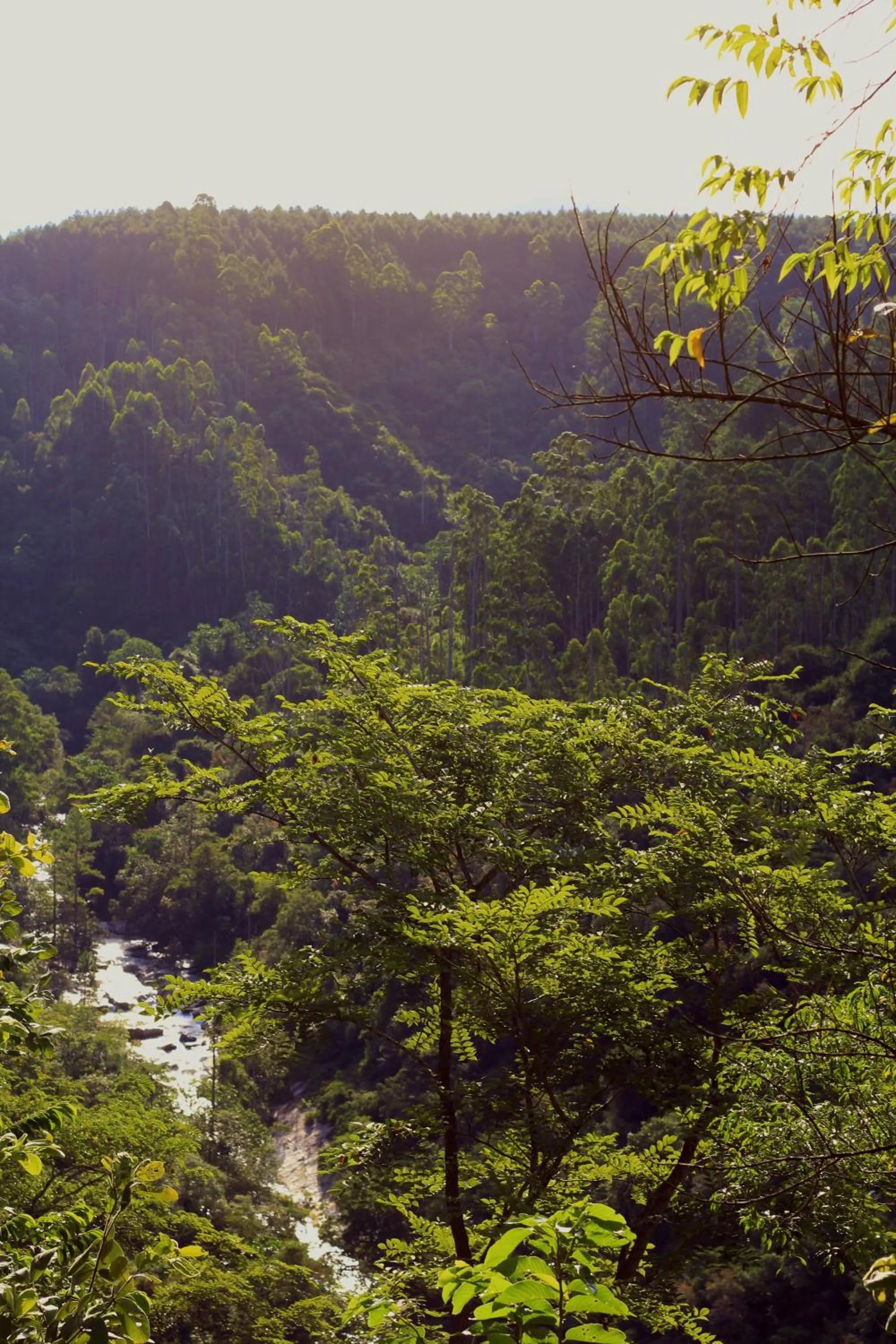 River view in Tanamera Lodge