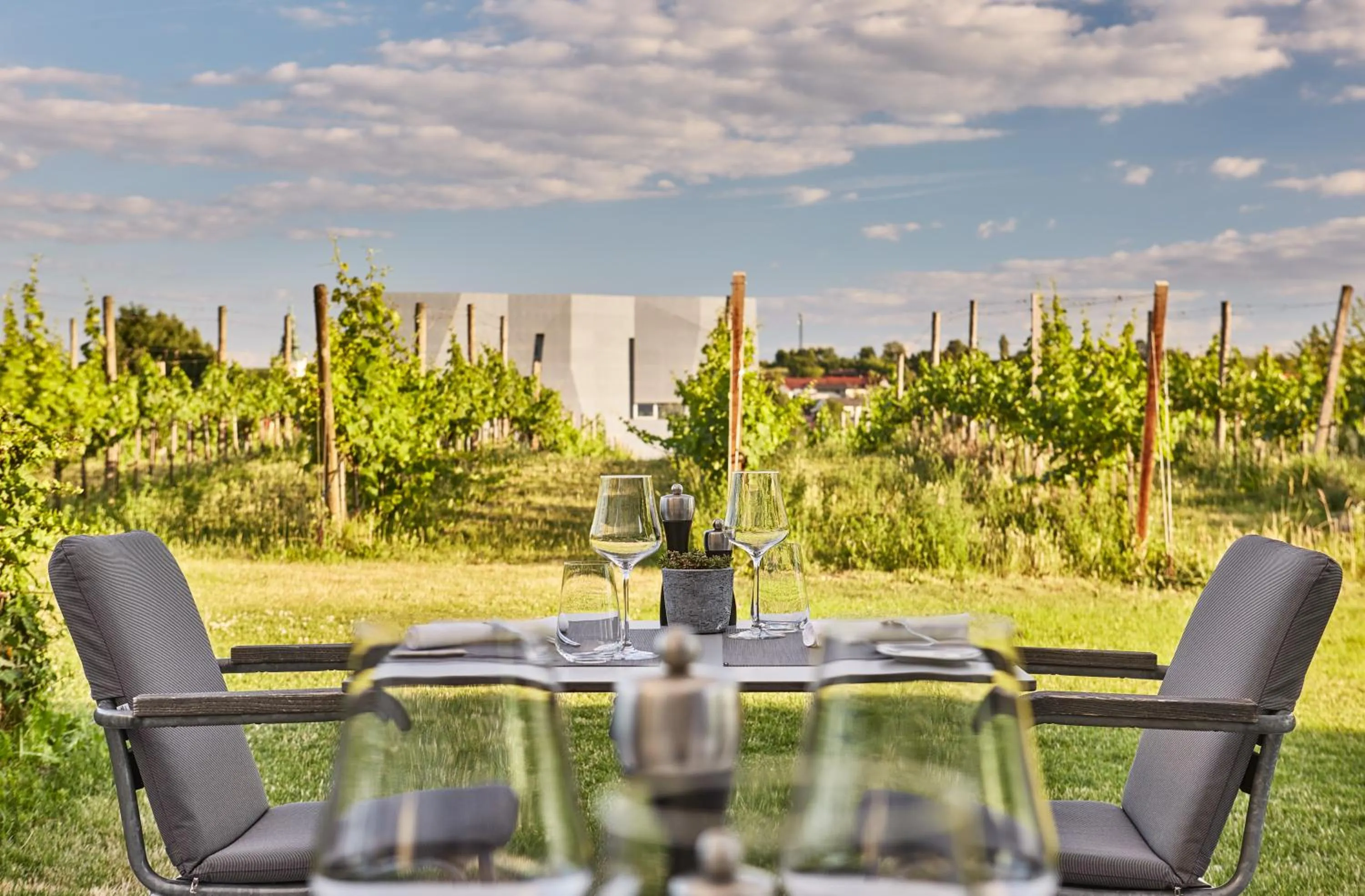Garden in LOISIUM Wine & Spa Hotel Langenlois