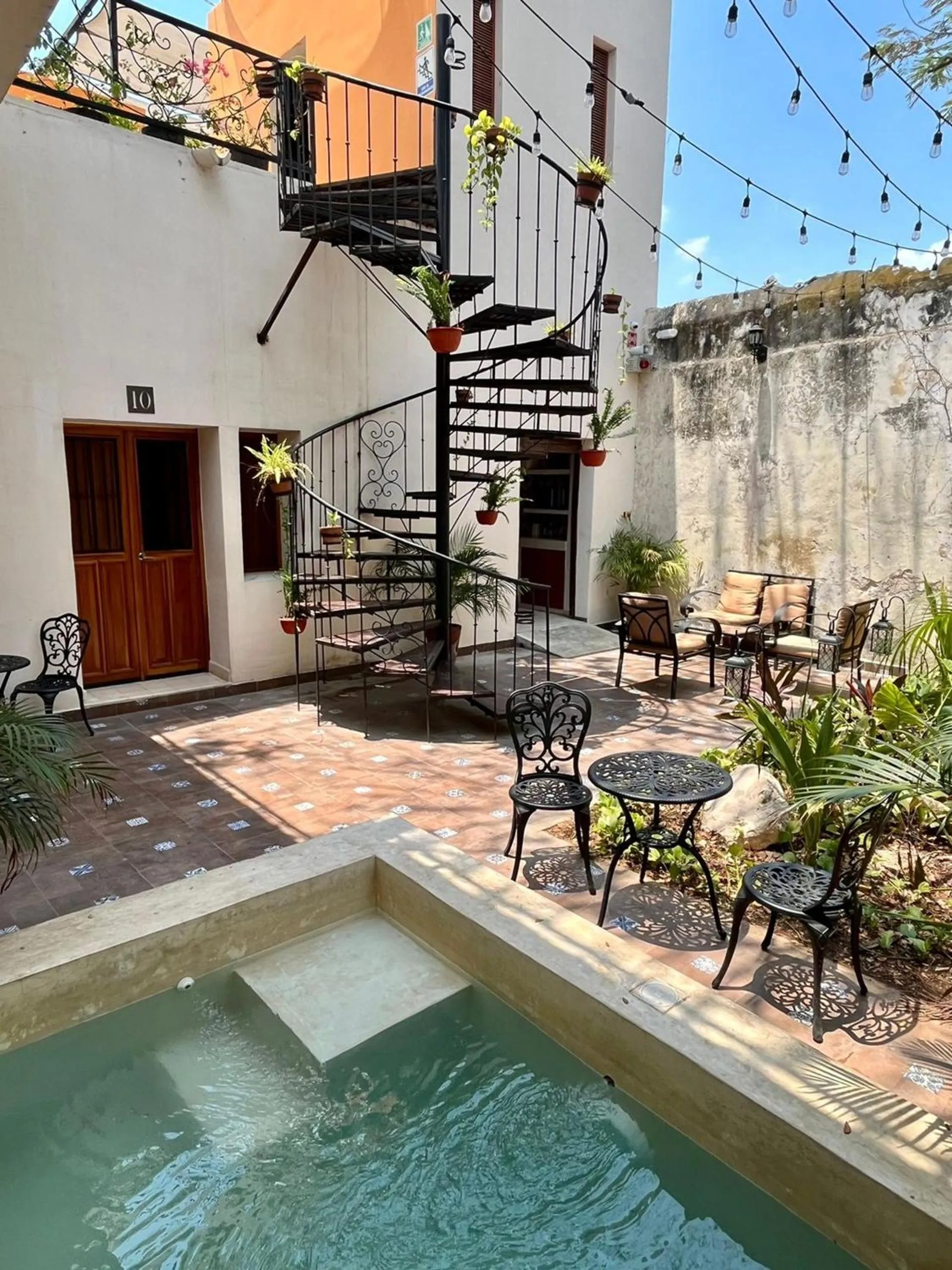 Garden in Hotel & Hostal Boutique Casa Garza