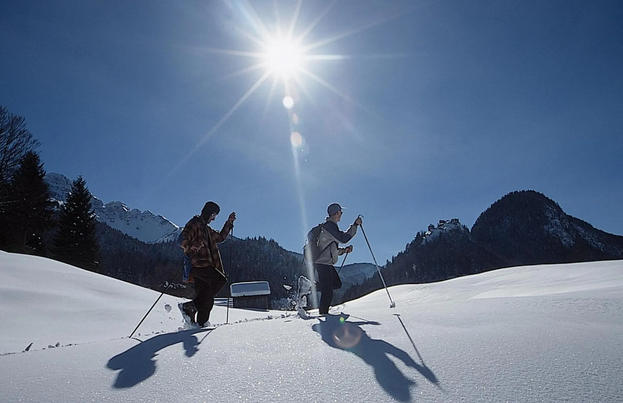 Natural landscape in Hotel Gasthof Zum Schwanen