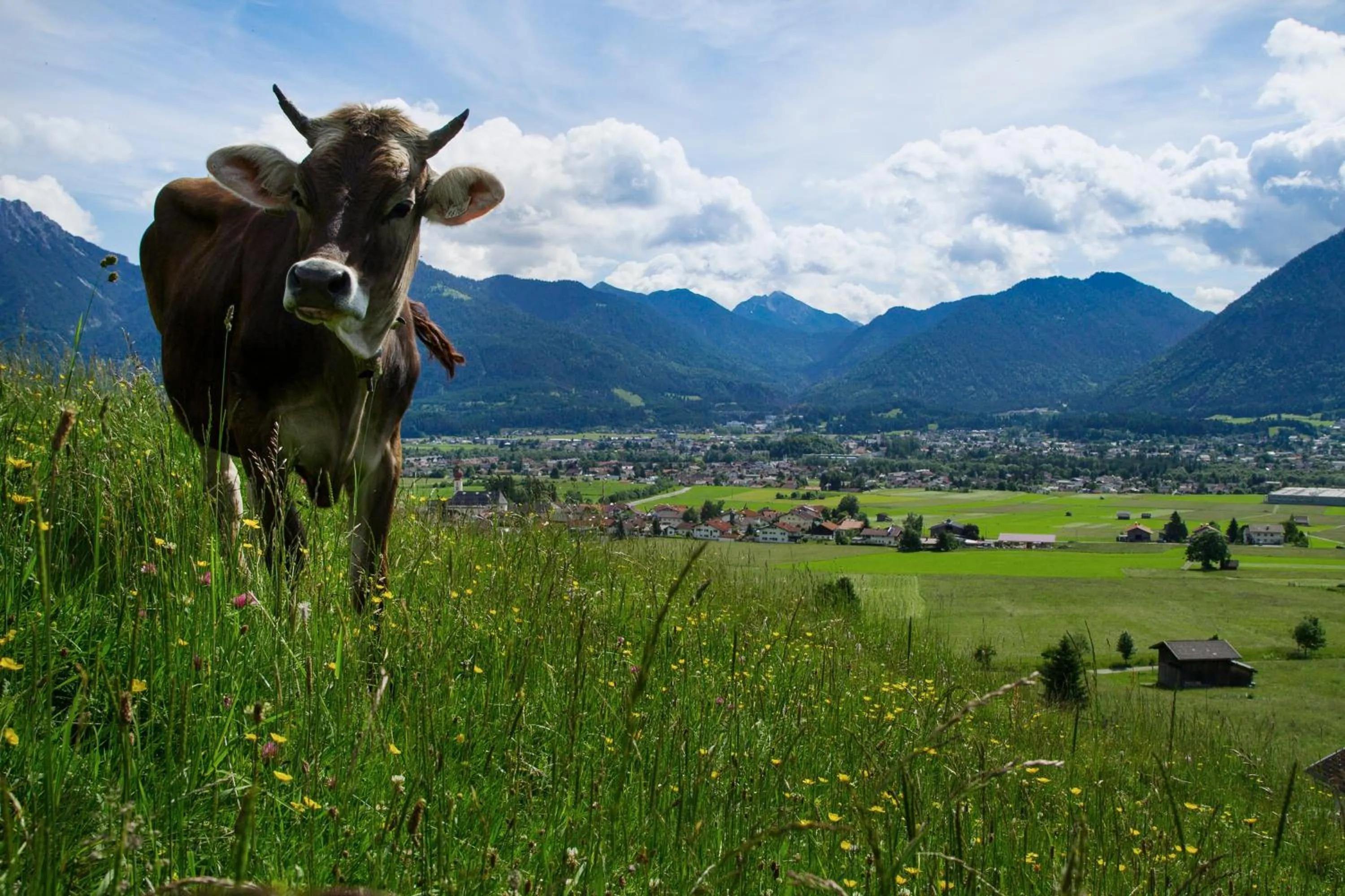 Natural landscape in Hotel Gasthof Zum Schwanen
