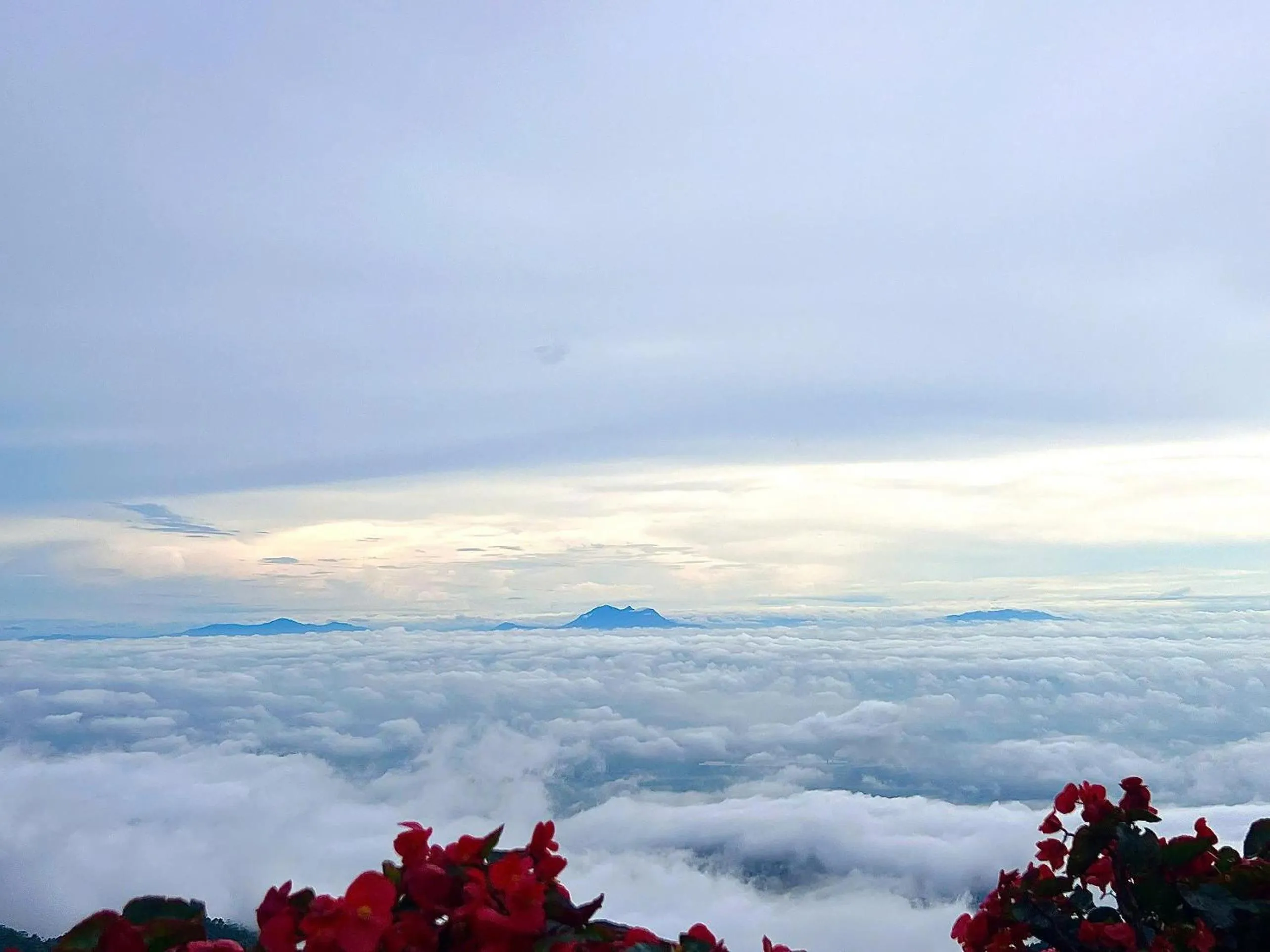 Neighbourhood in Venus Hotel Tam Đảo