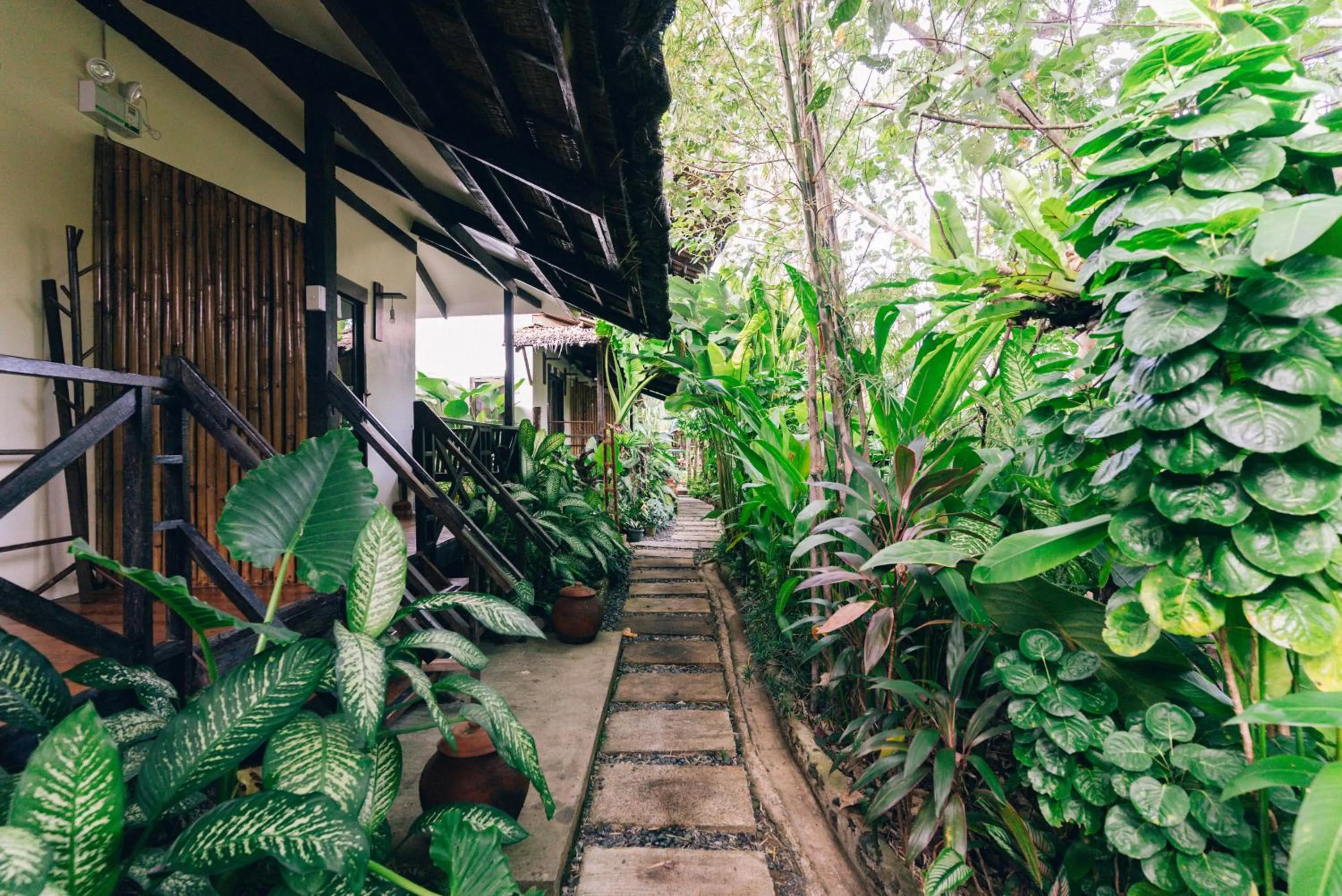 Garden view in Himaya