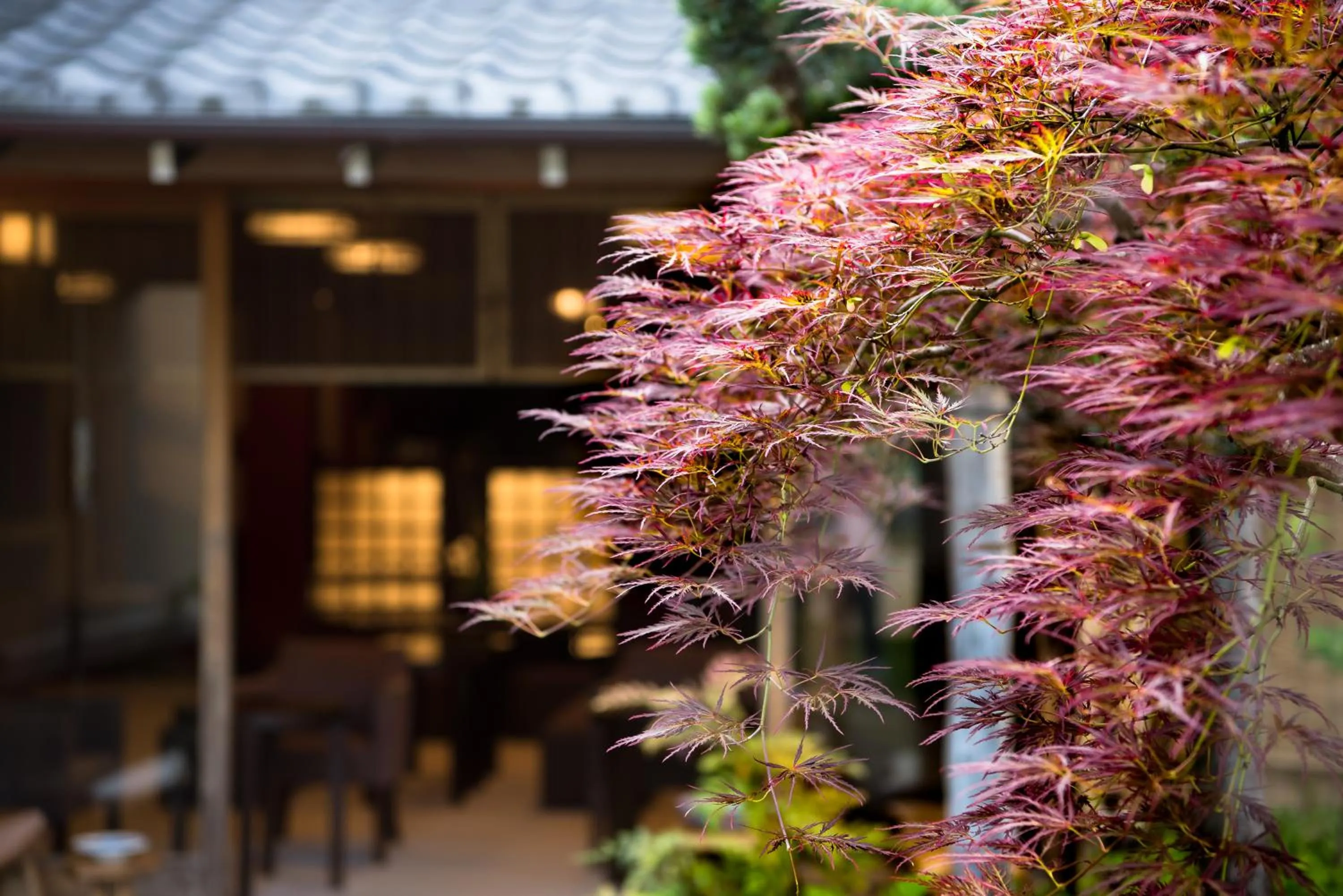 Property building in Yugawara Fuga - Adult Only