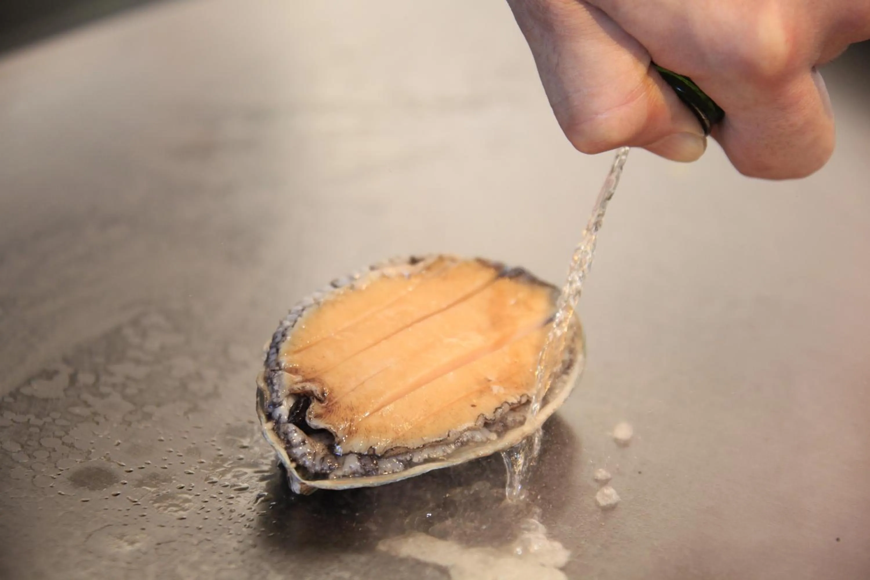 Restaurant/places to eat in Yugawara Fuga - Adult Only