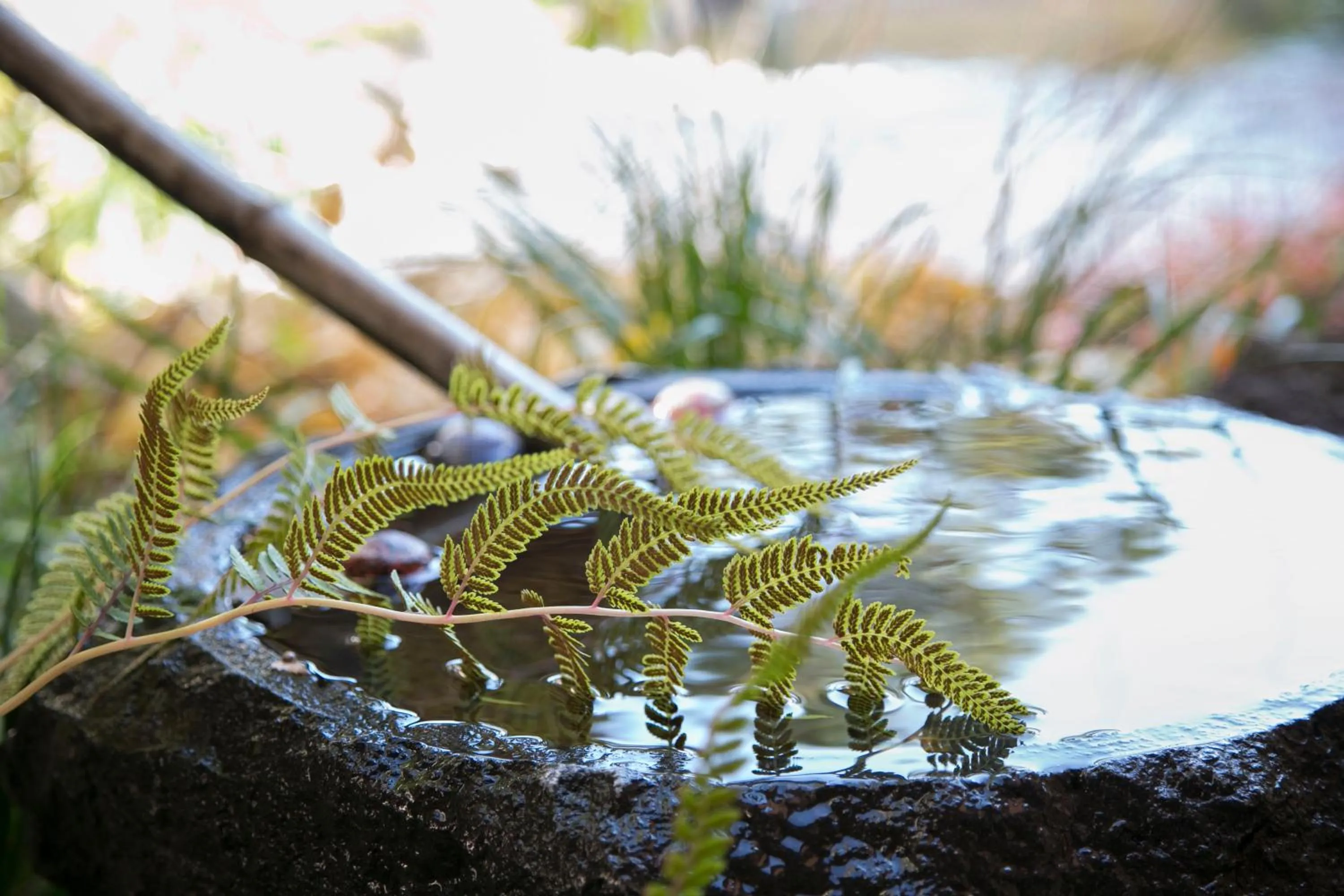 Patio in Yugawara Fuga - Adult Only