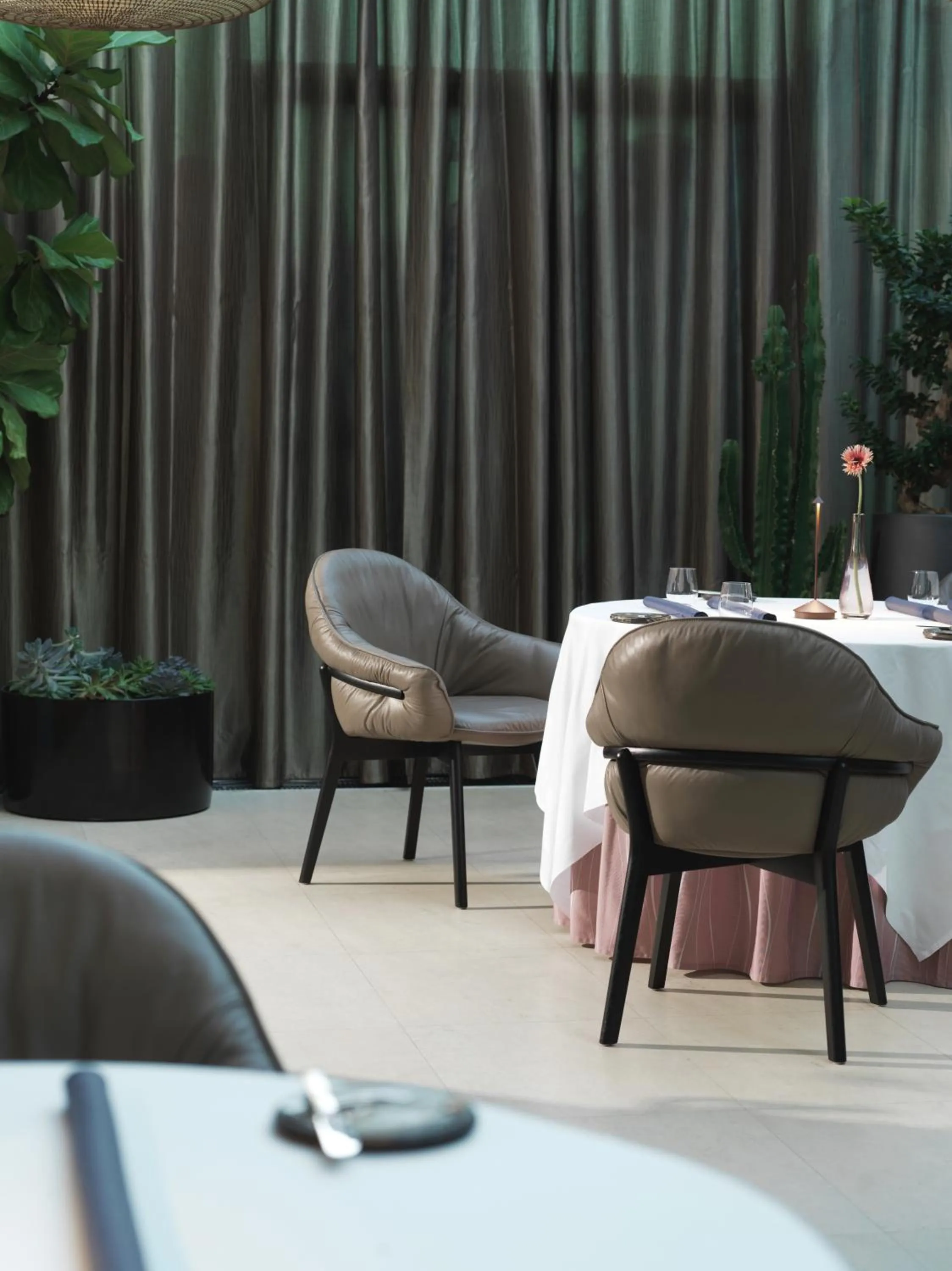 Restaurant/places to eat in Palais Coburg Hotel