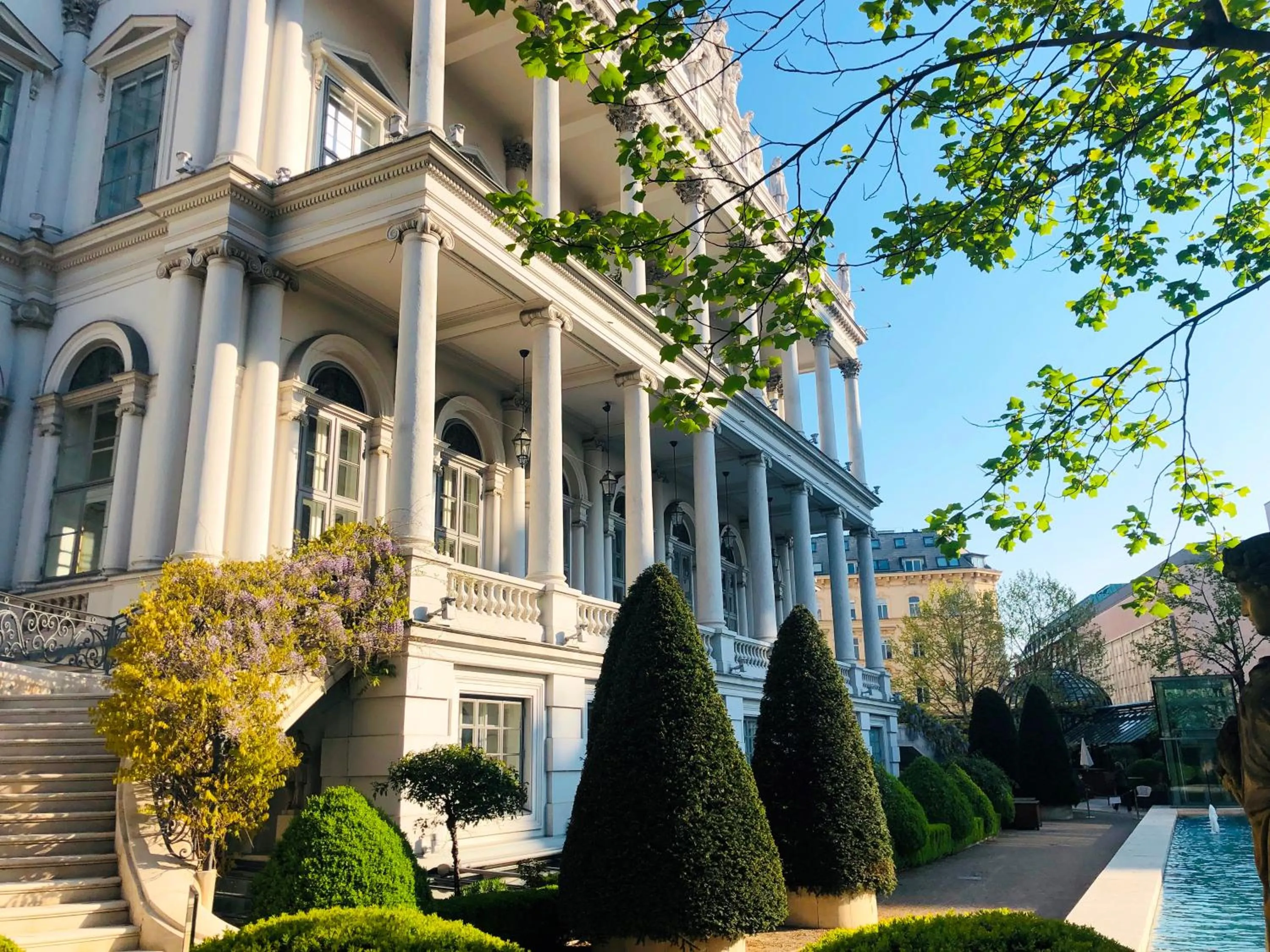Garden in Palais Coburg Hotel