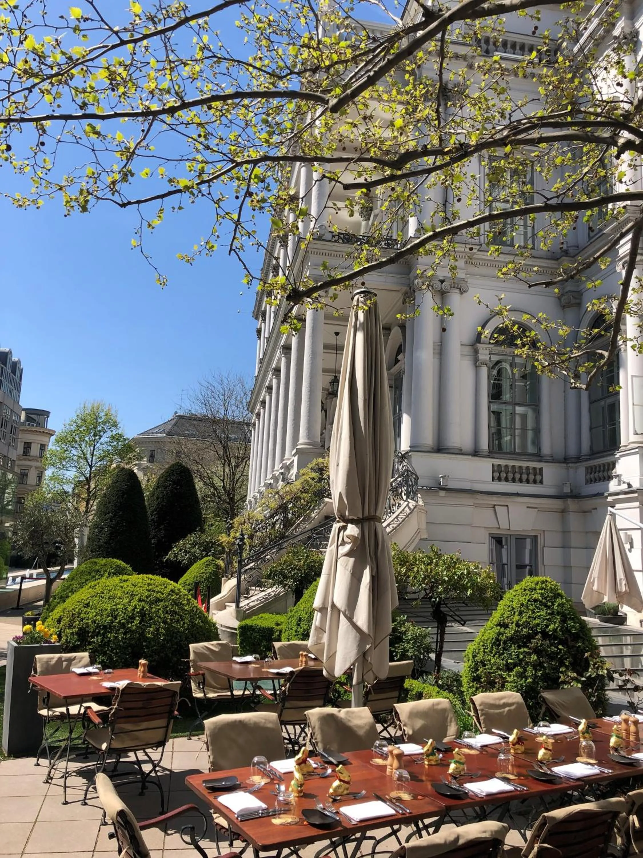 Garden in Palais Coburg Hotel