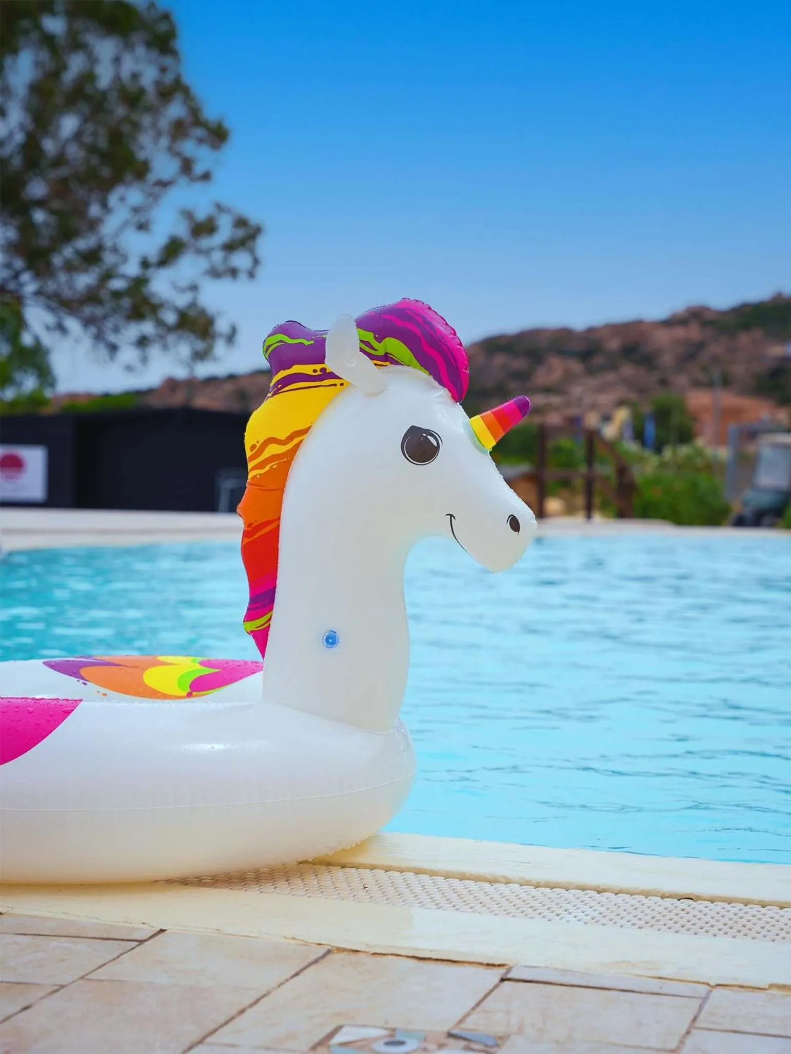 Day in Red Sun Village