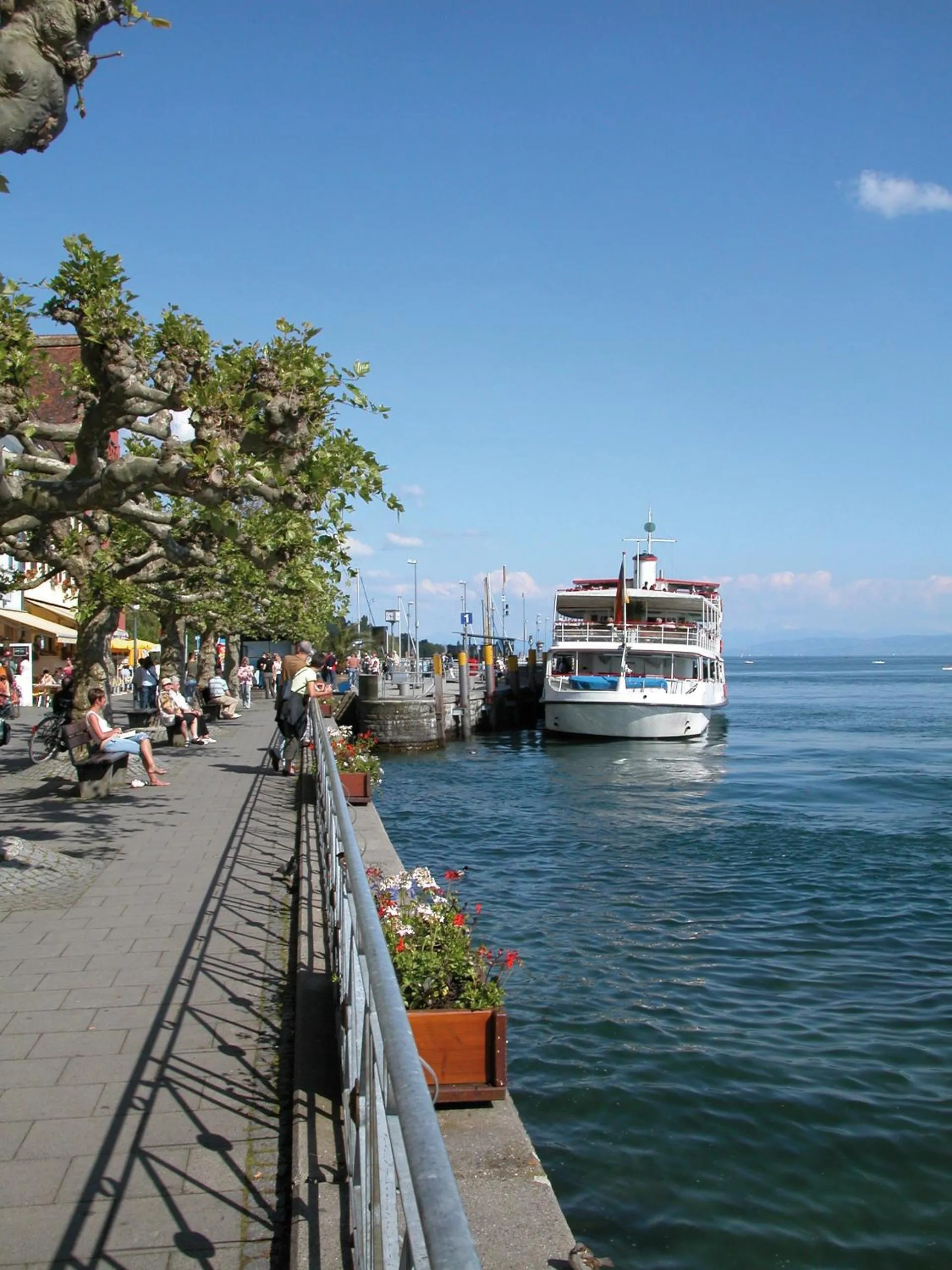 Restaurant/places to eat in Seehotel ZUR MÜNZ