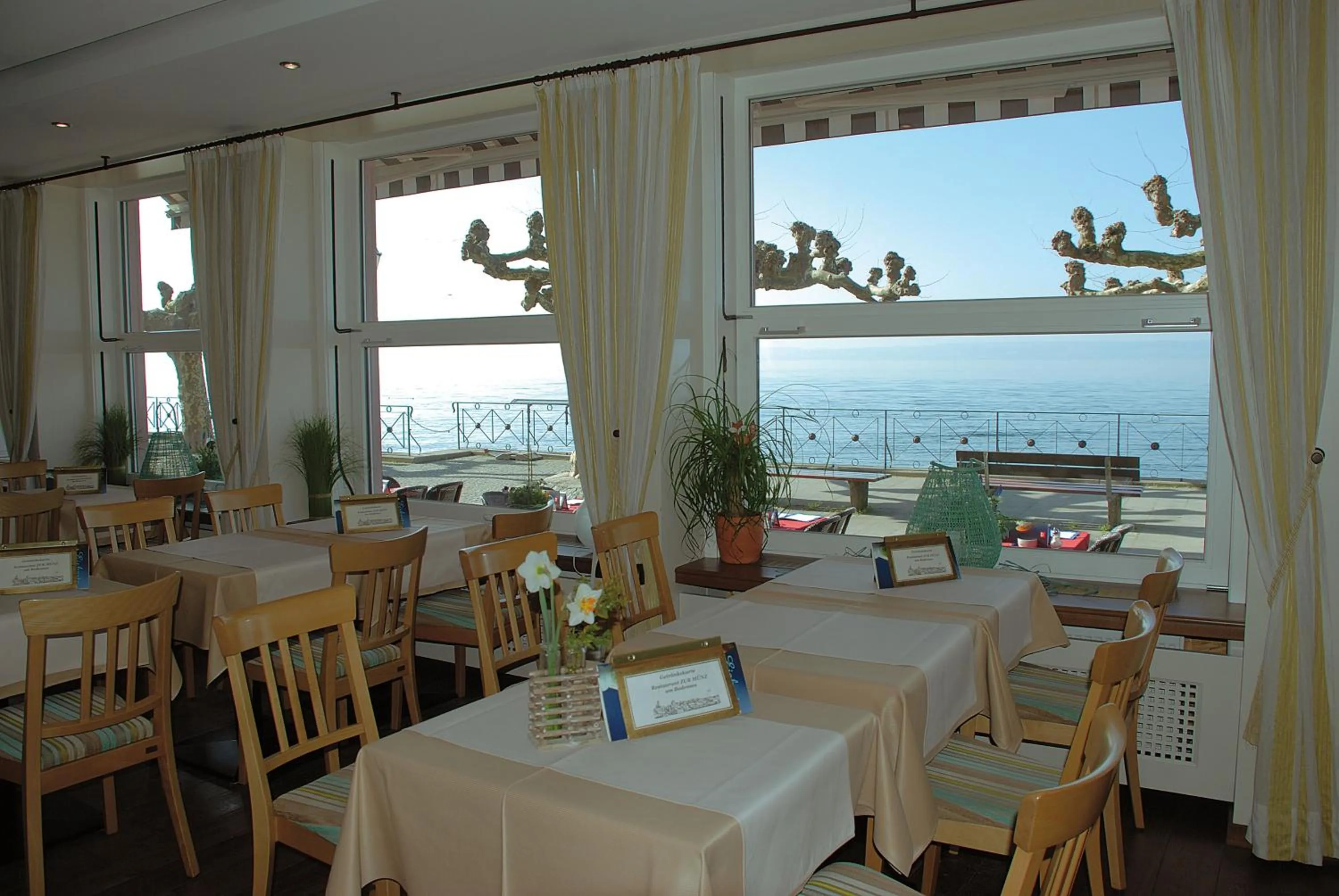 Restaurant/places to eat in Seehotel ZUR MÜNZ