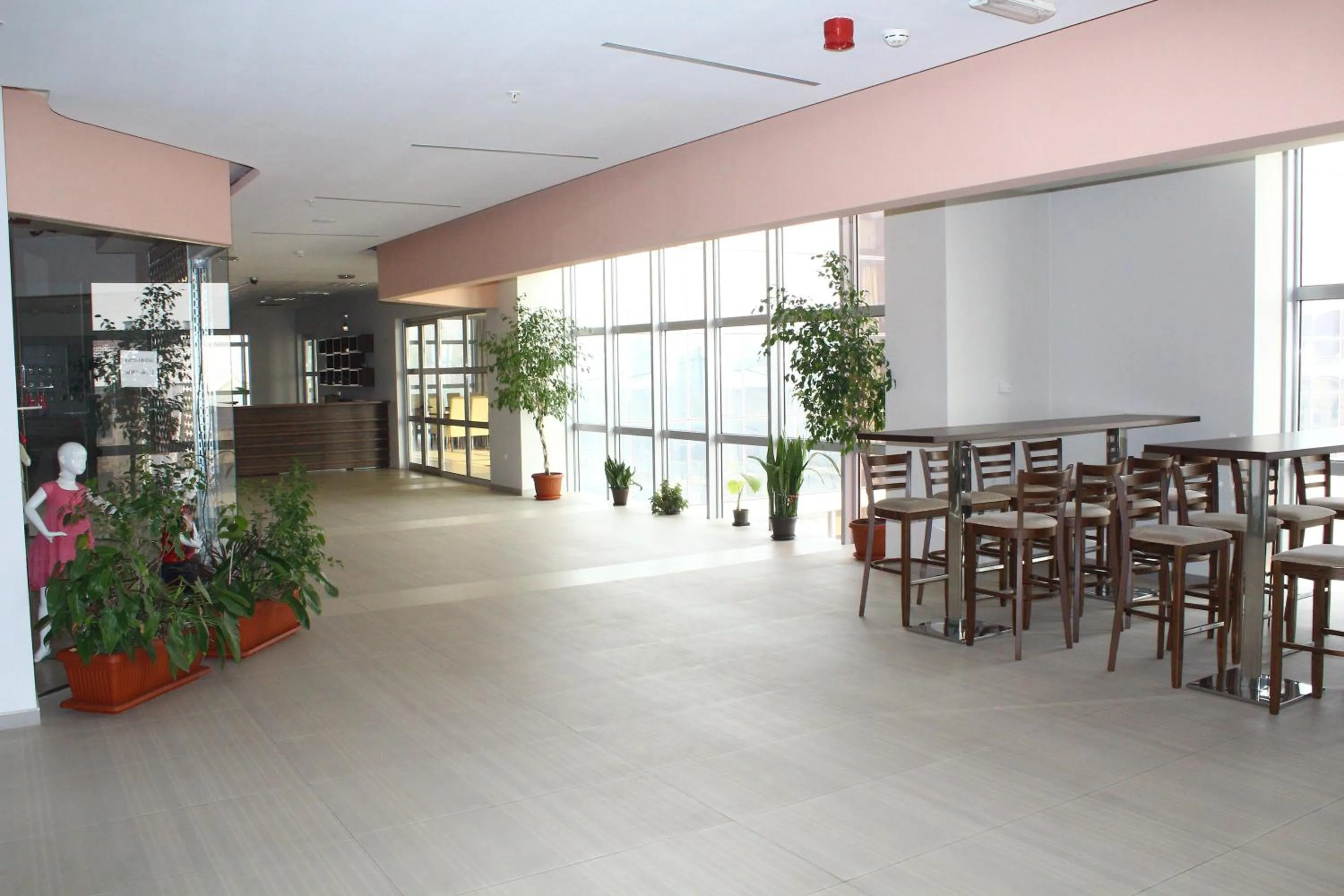 Restaurant/places to eat in Hotel Franca