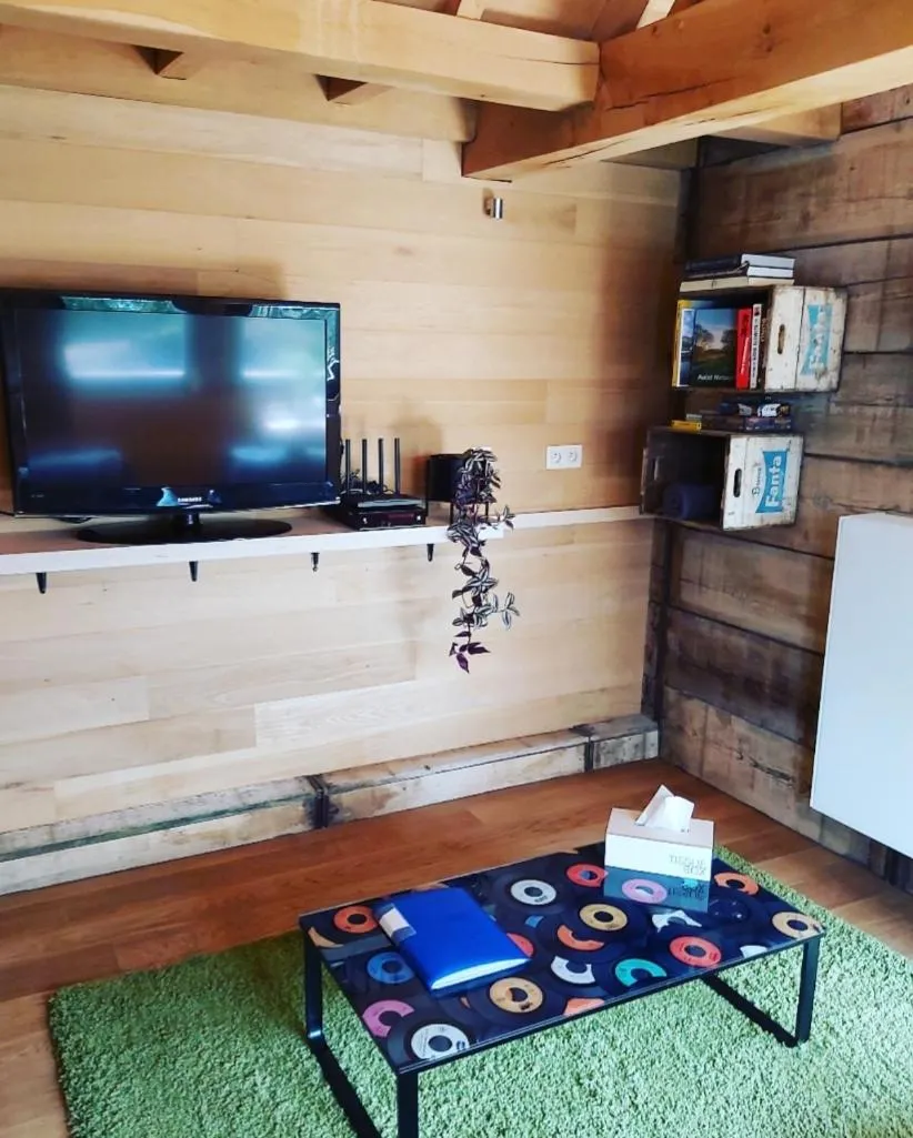 Communal lounge/ TV room in De linderd