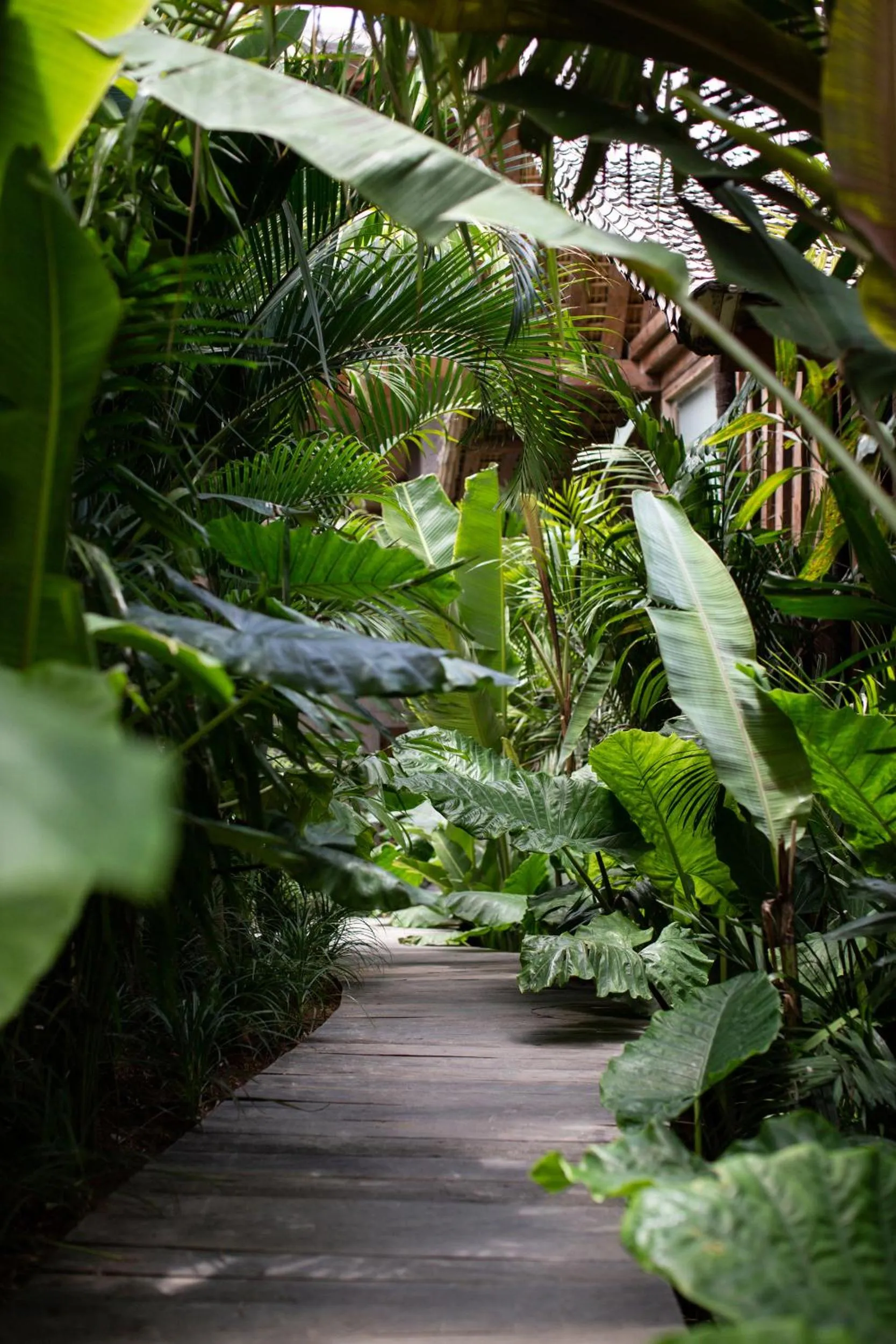 Natural landscape in The Asa Maia - Bespoke Wellness Resort