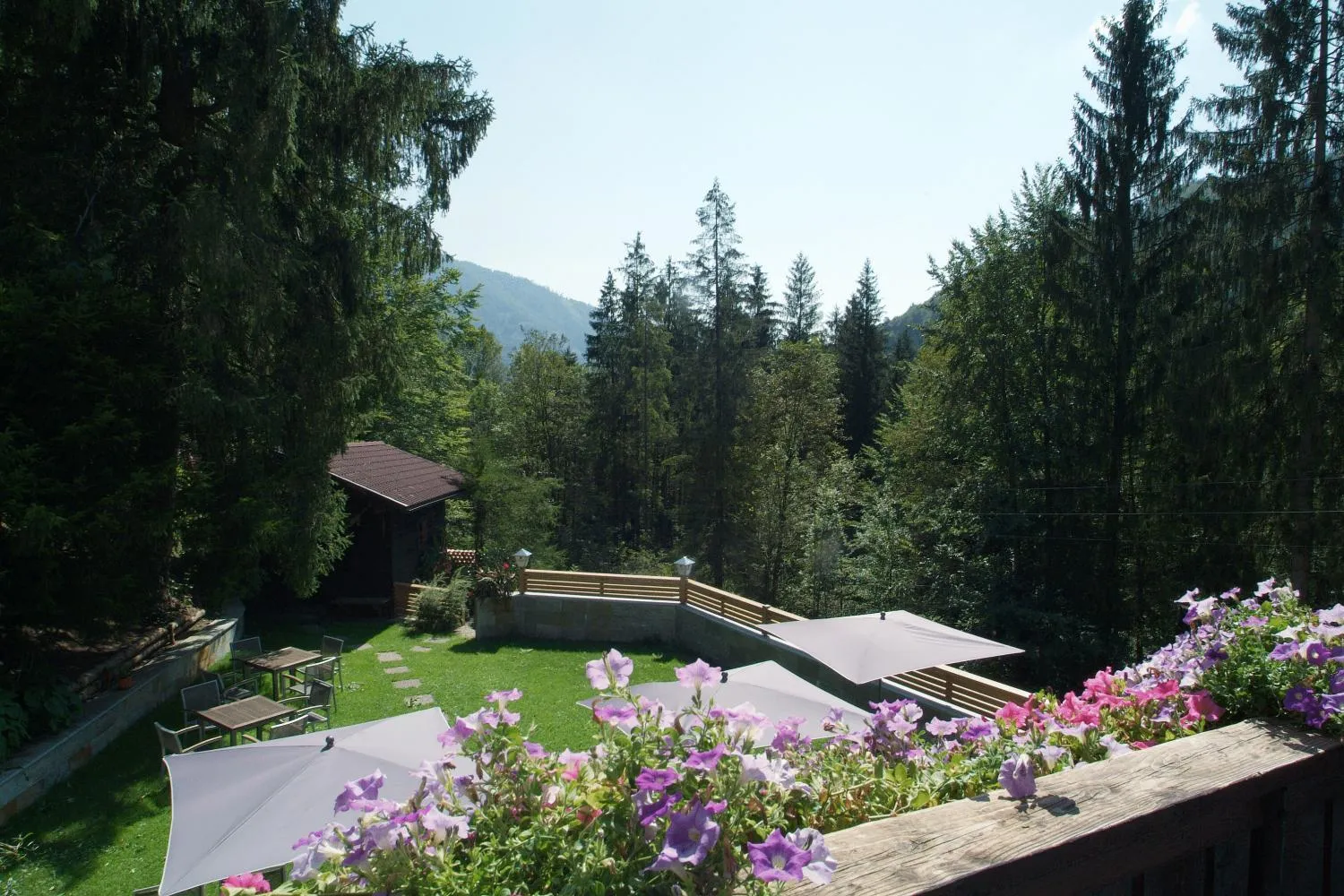 Garden in Hotel Obermayr