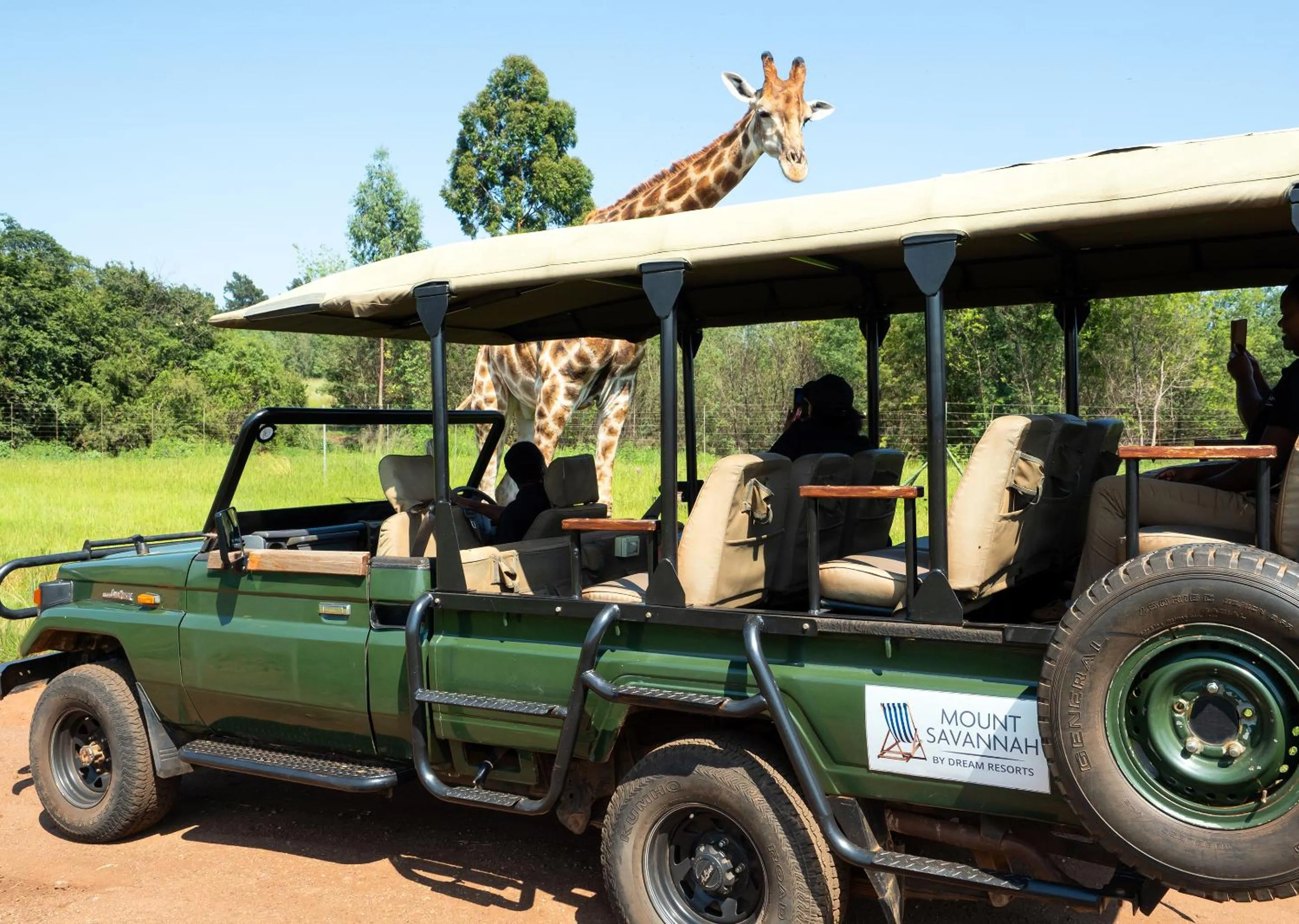 Activities in Mount Savannah Lodge by Dream Resorts