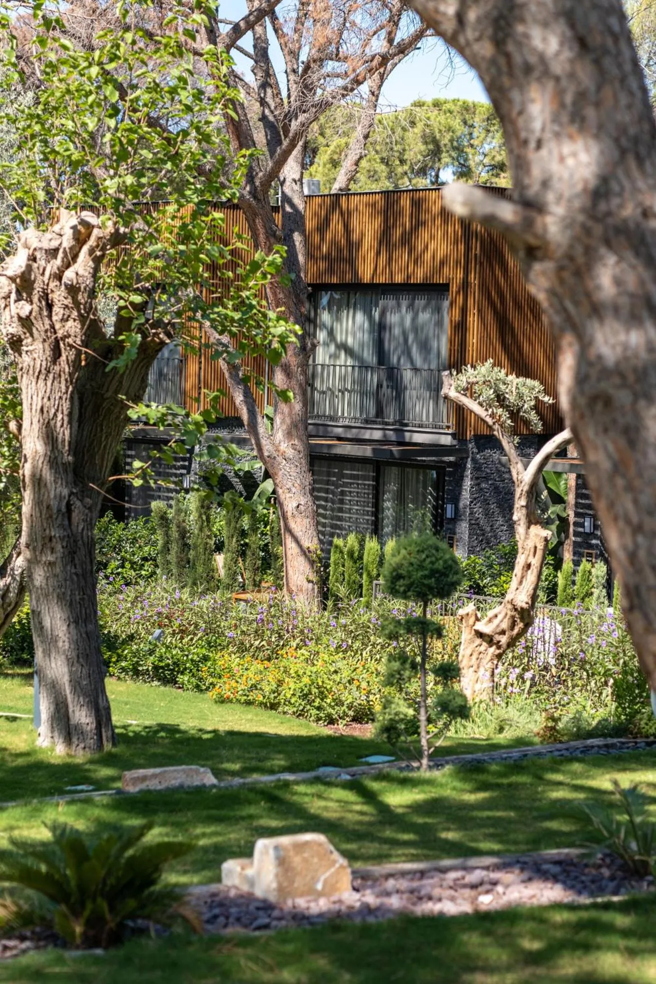 Garden in Unique Life Style Hotel