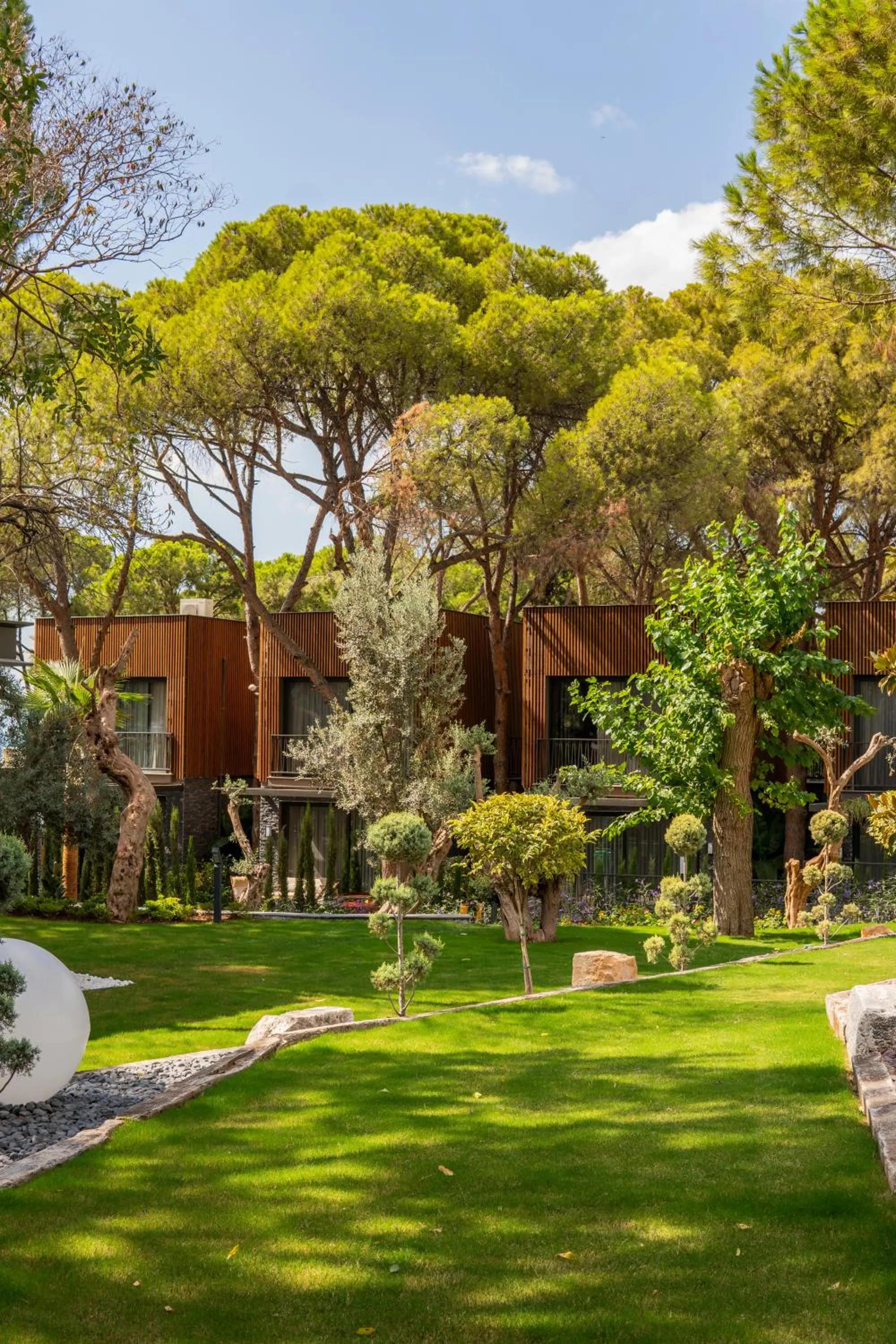 Garden in Unique Life Style Hotel