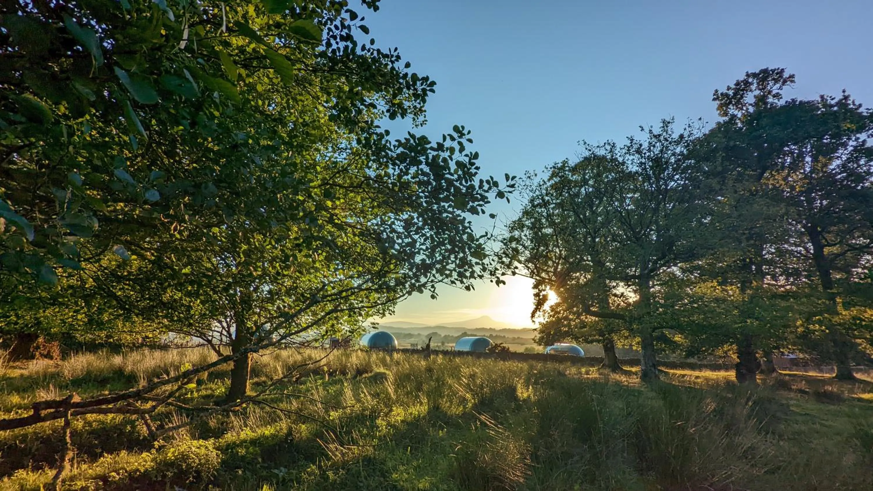 Natural landscape in Cardross Estate Glamping Pods