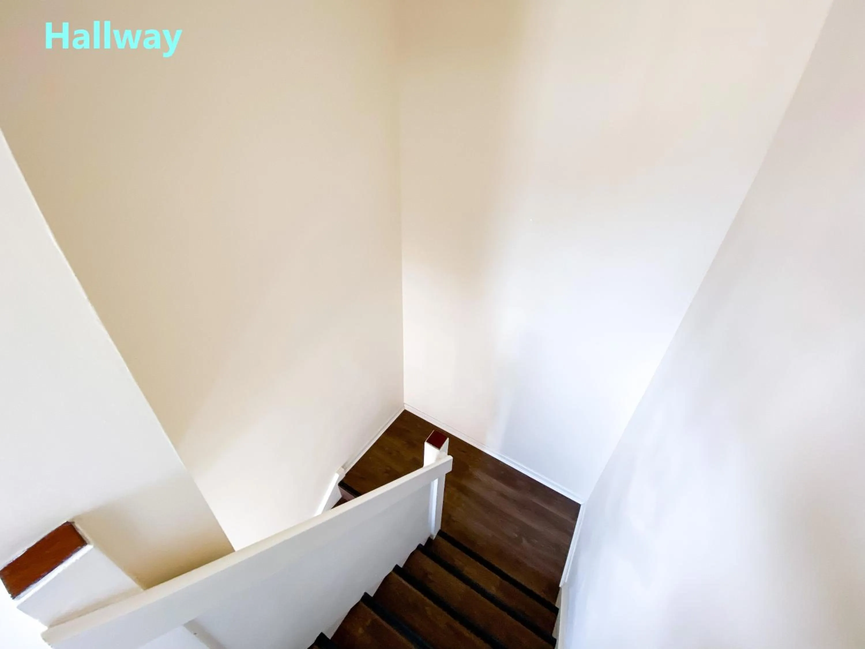 Bed in Central Palace - Excellent Stay in London Zone 1