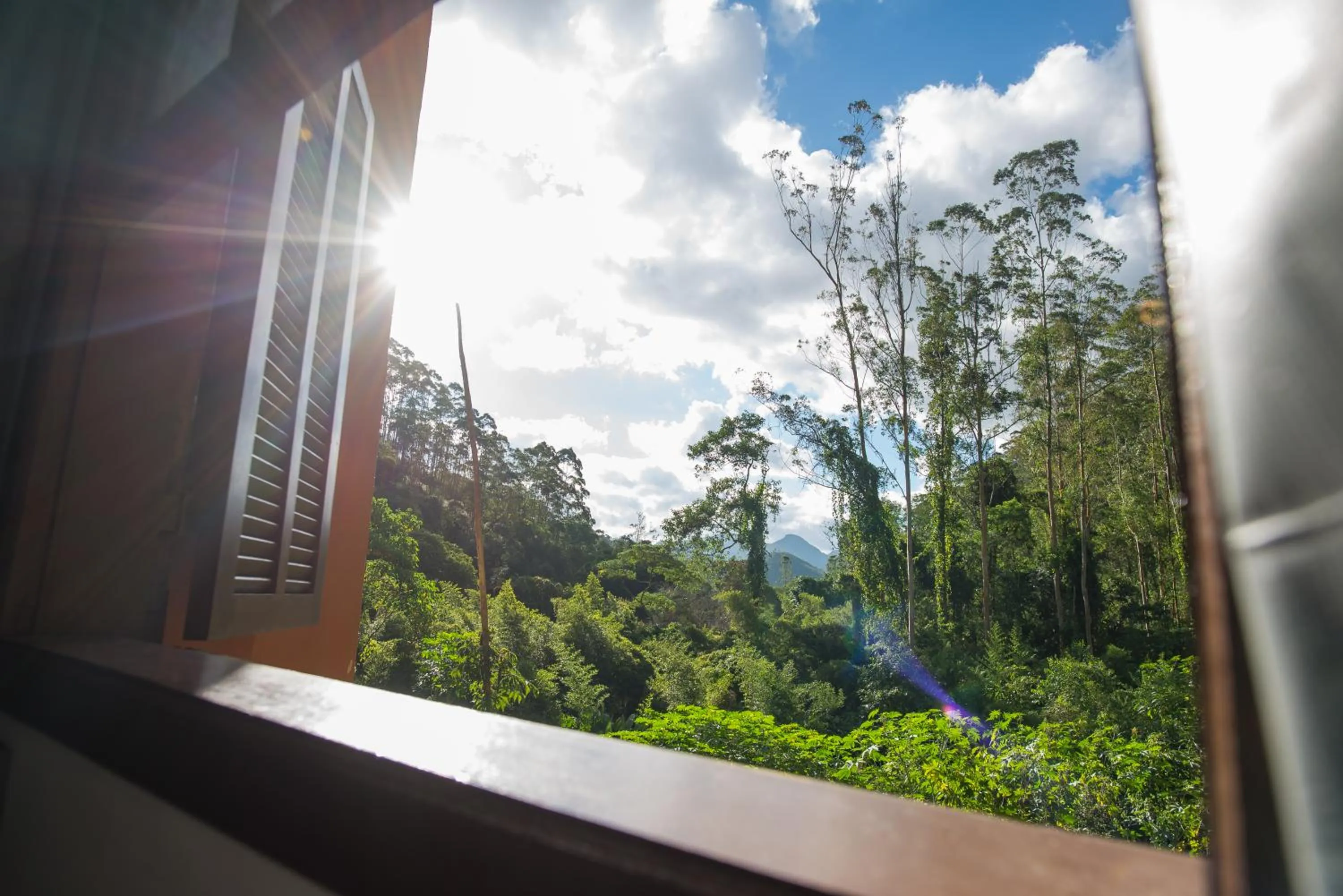 Day in Hotel Vila Suíça 1818