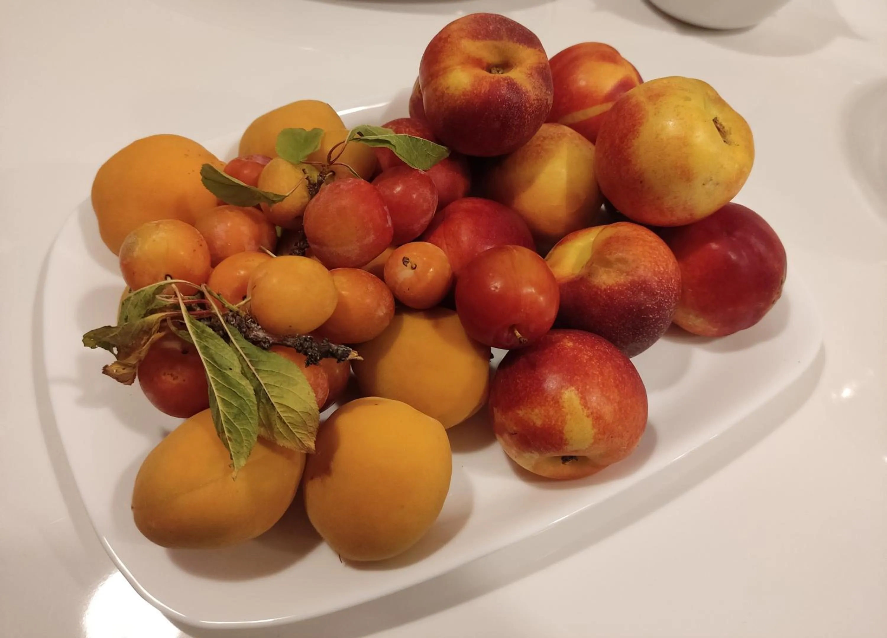 Natura e Mente Camere e Relax