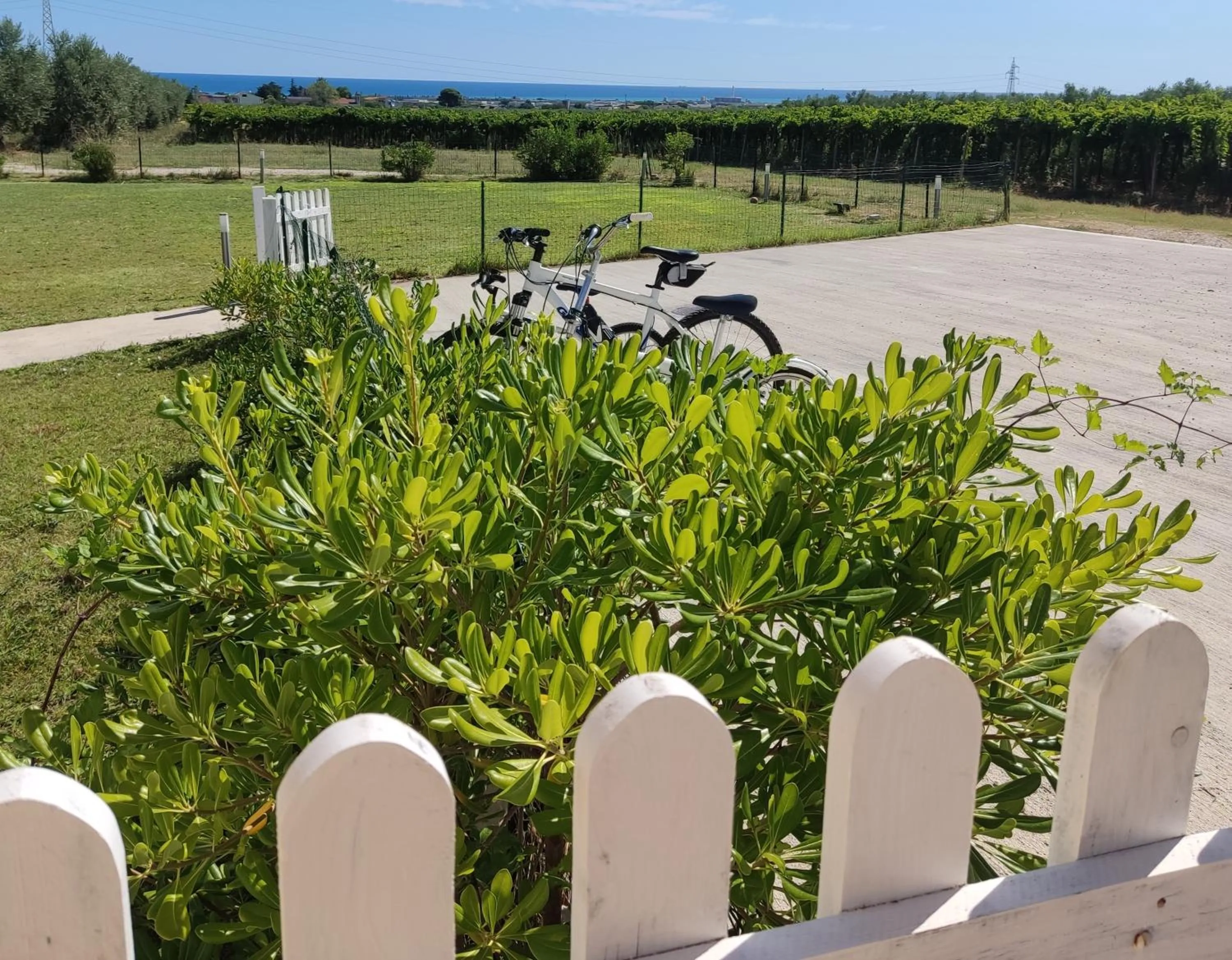 Natura e Mente Camere e Relax