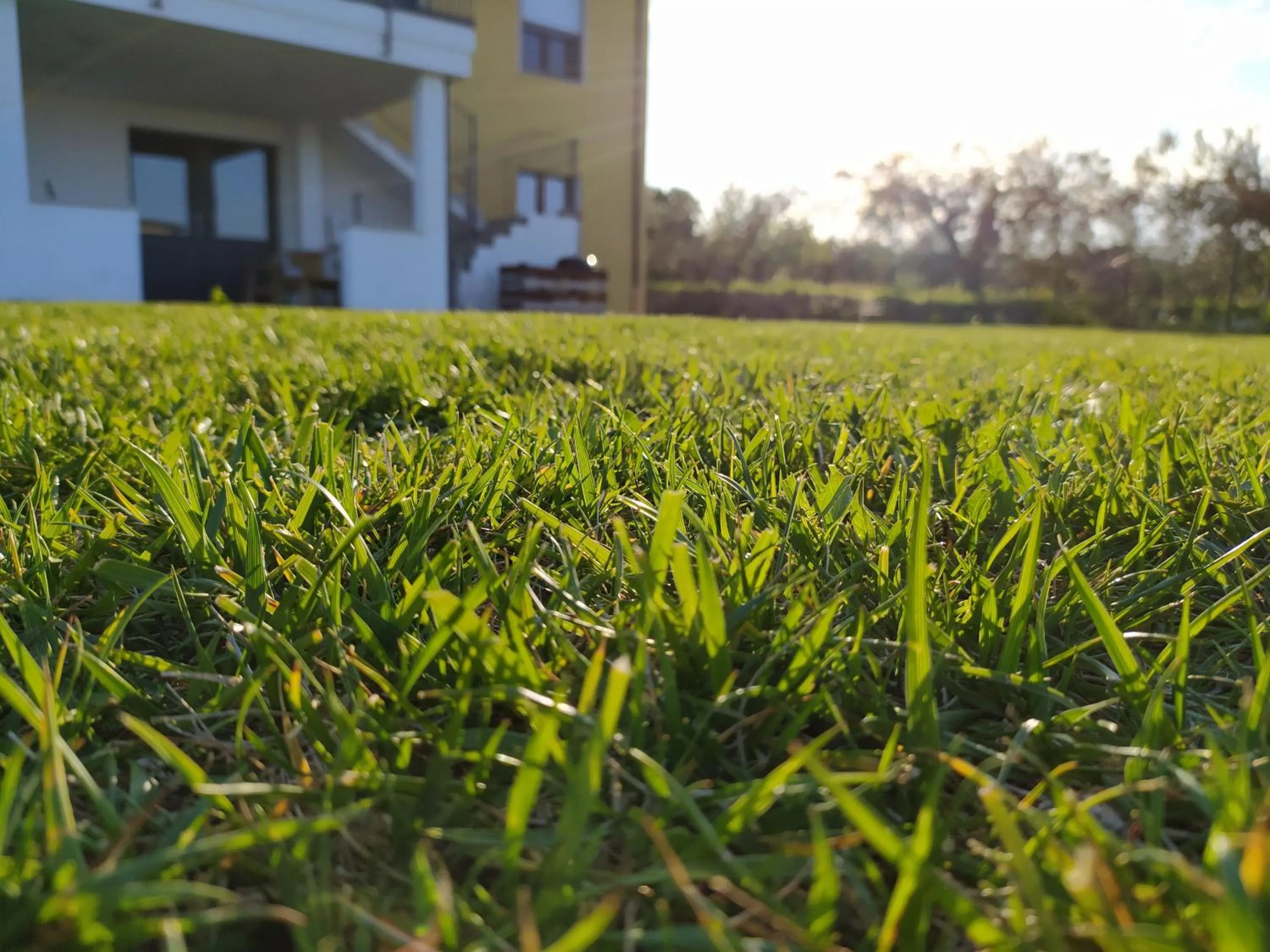 Garden in Natura e Mente Camere e Relax