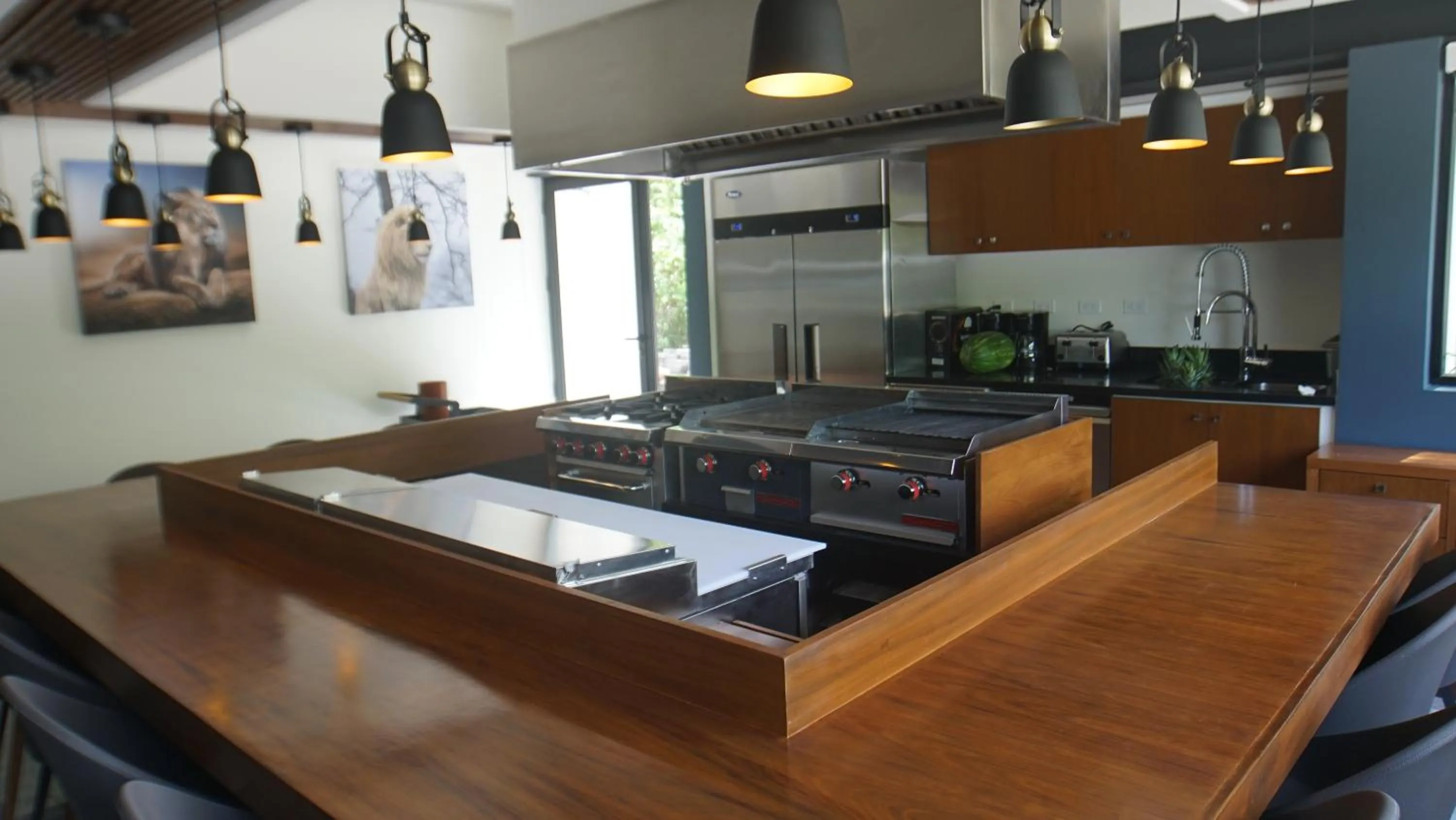 Kitchen or kitchenette in Panther Bay Boutique Hotel