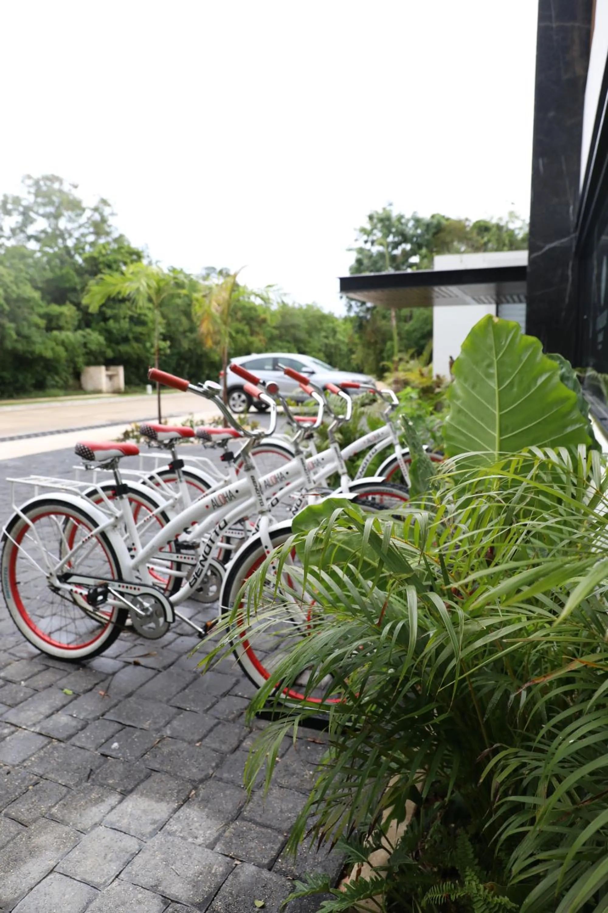 Property building in Panther Bay Boutique Hotel
