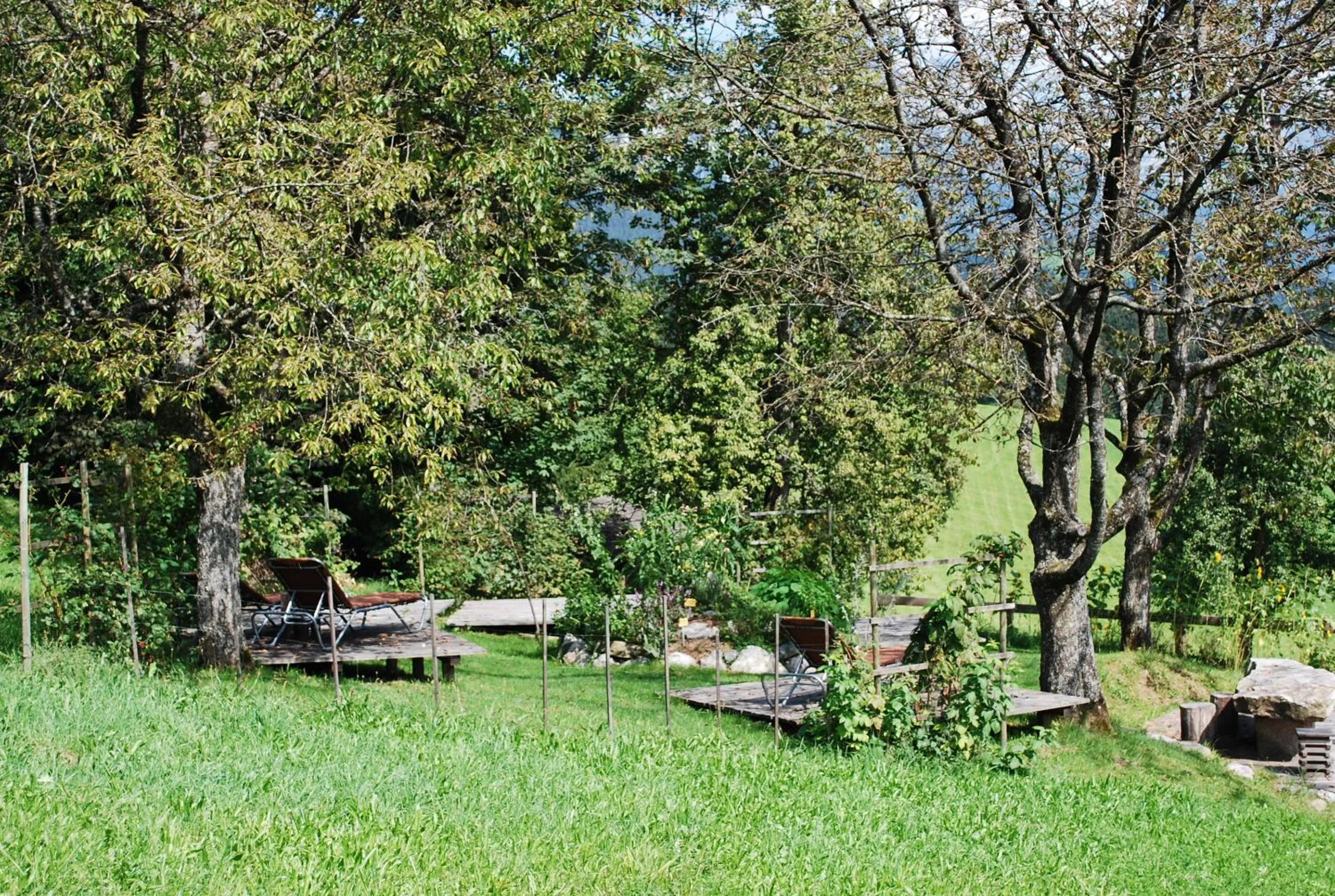 Garden in Bed & Breakfast Landhaus Strasser