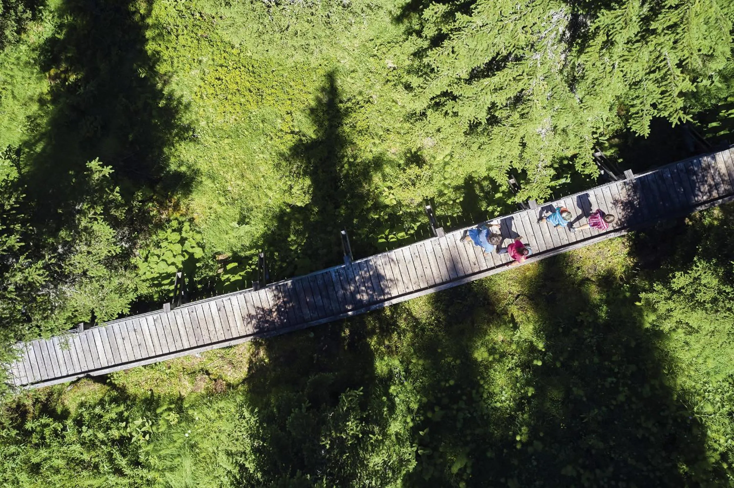 Hiking in Active Nature Resort DAS SeeMOUNT