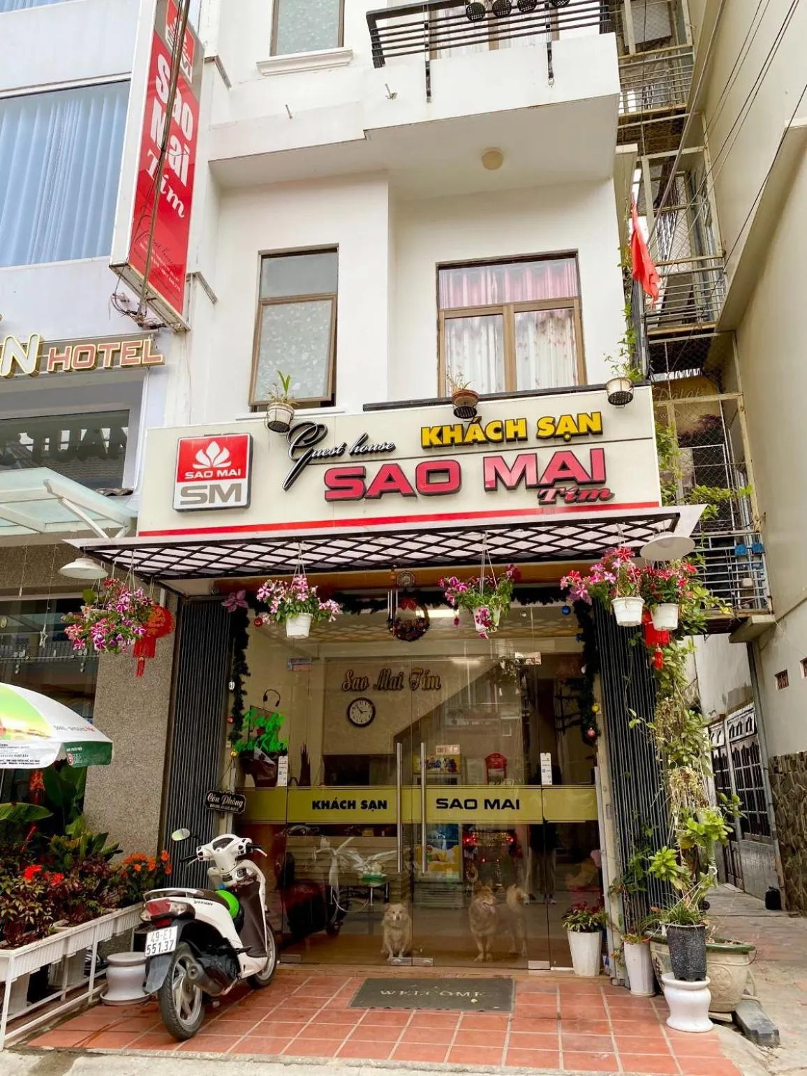 Property building in Sao Mai Tim Hotel