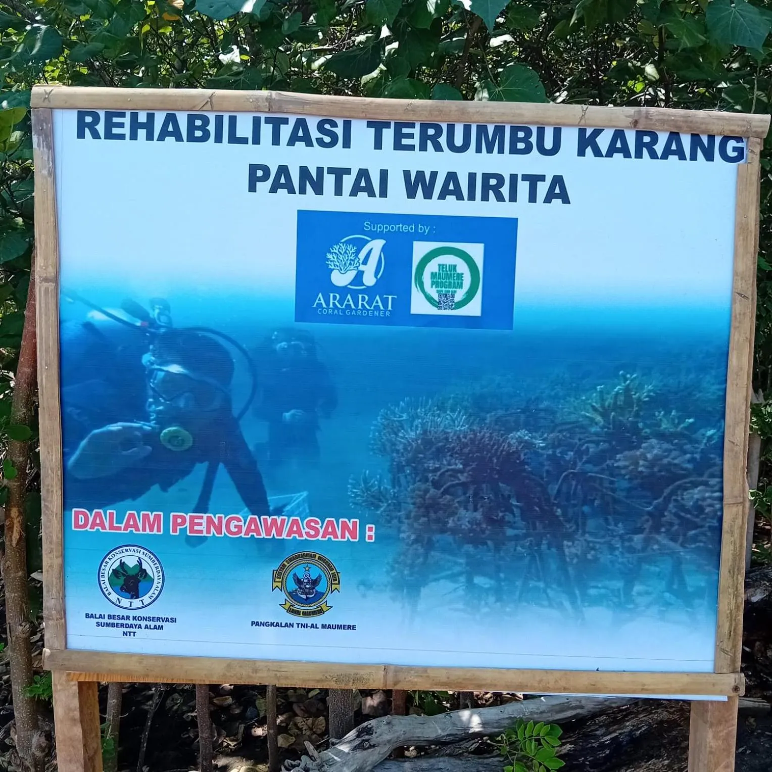 Snorkeling in Budi Sun Resort, Flores, Maumere