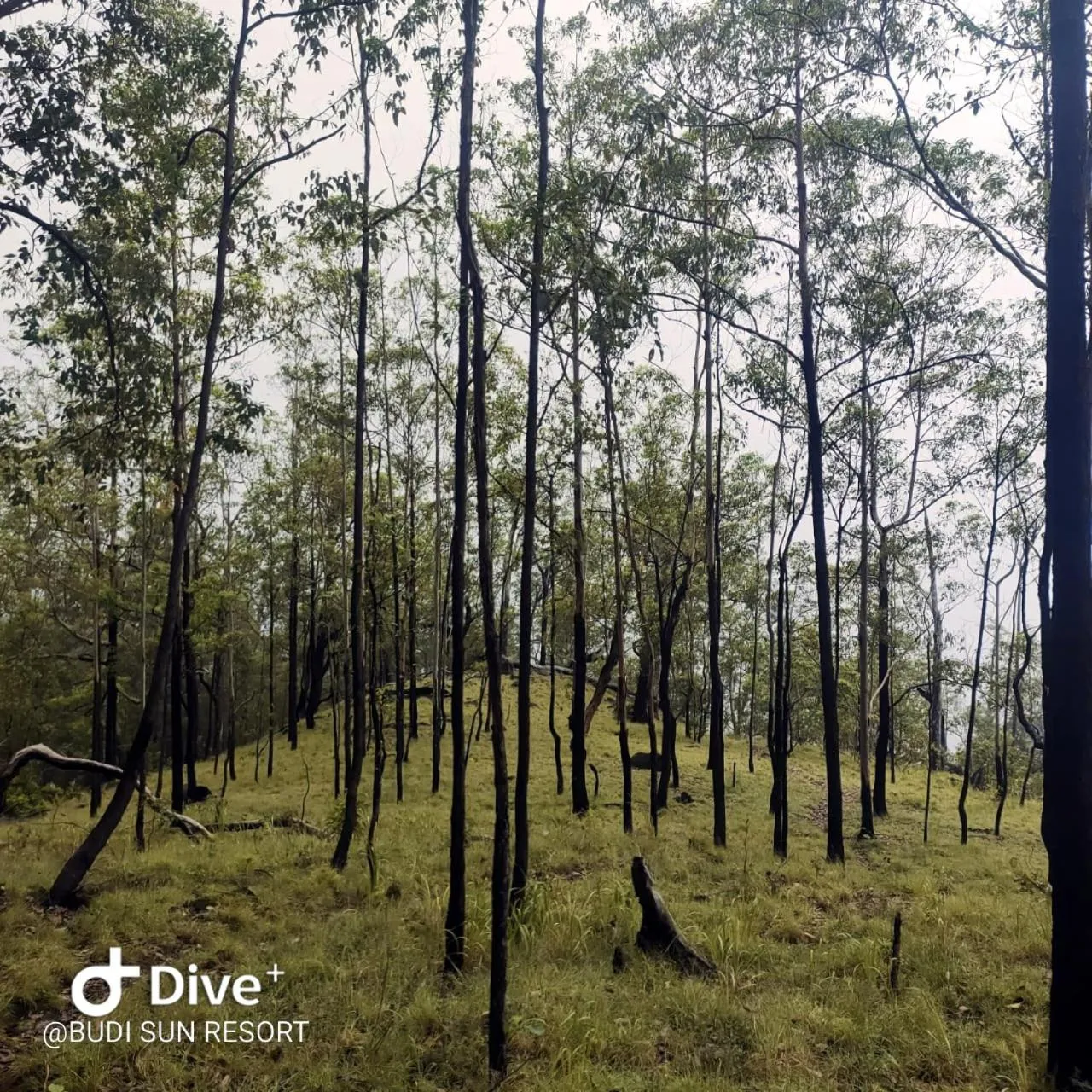 Nearby landmark in Budi Sun Resort, Flores, Maumere