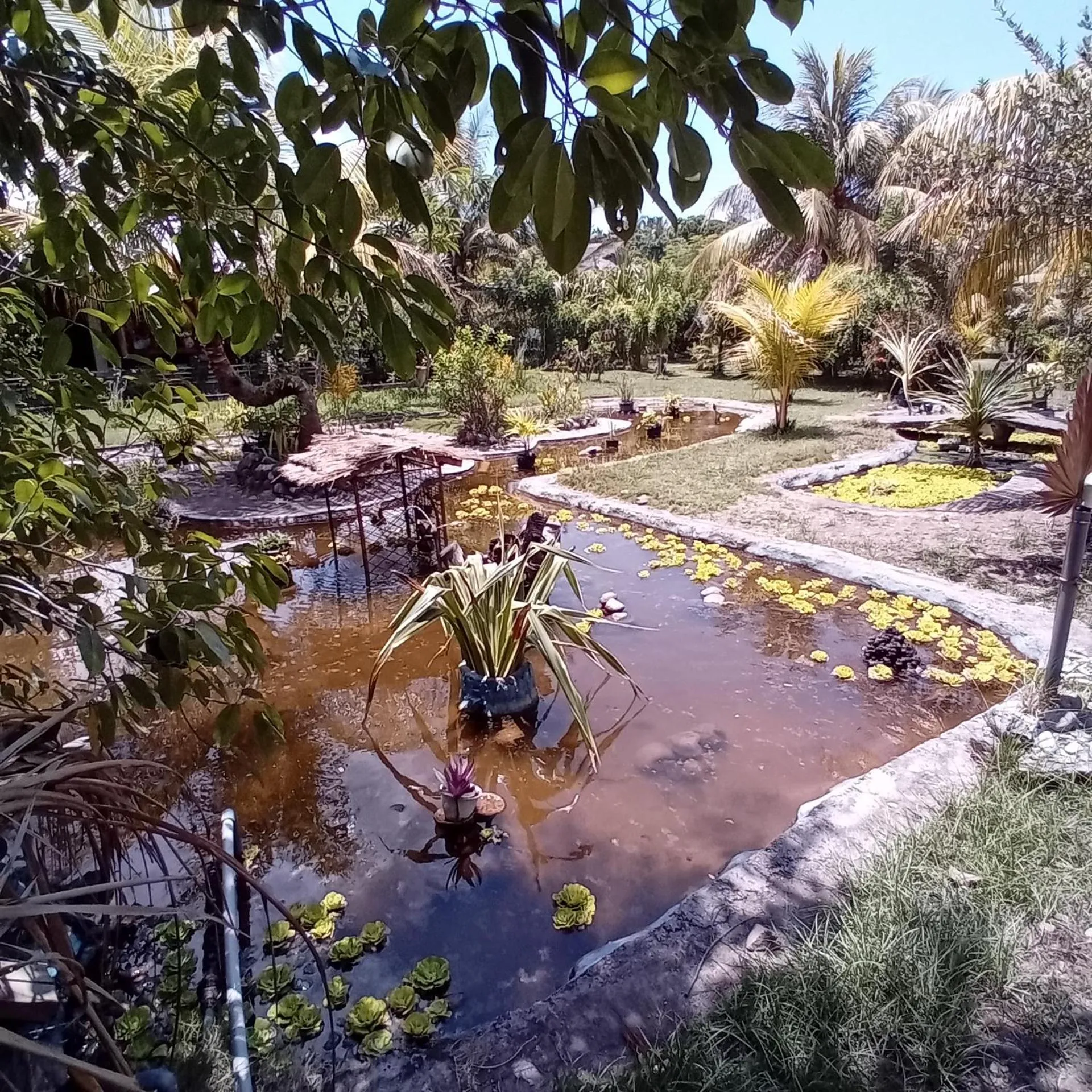 Garden in Budi Sun Resort, Flores, Maumere
