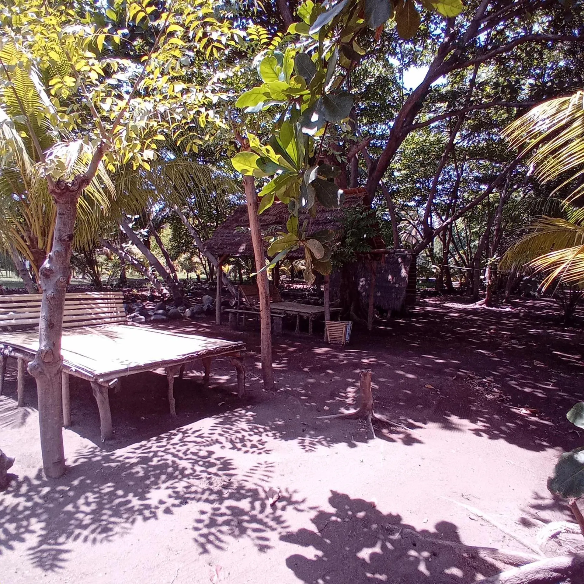 Garden in Budi Sun Resort, Flores, Maumere