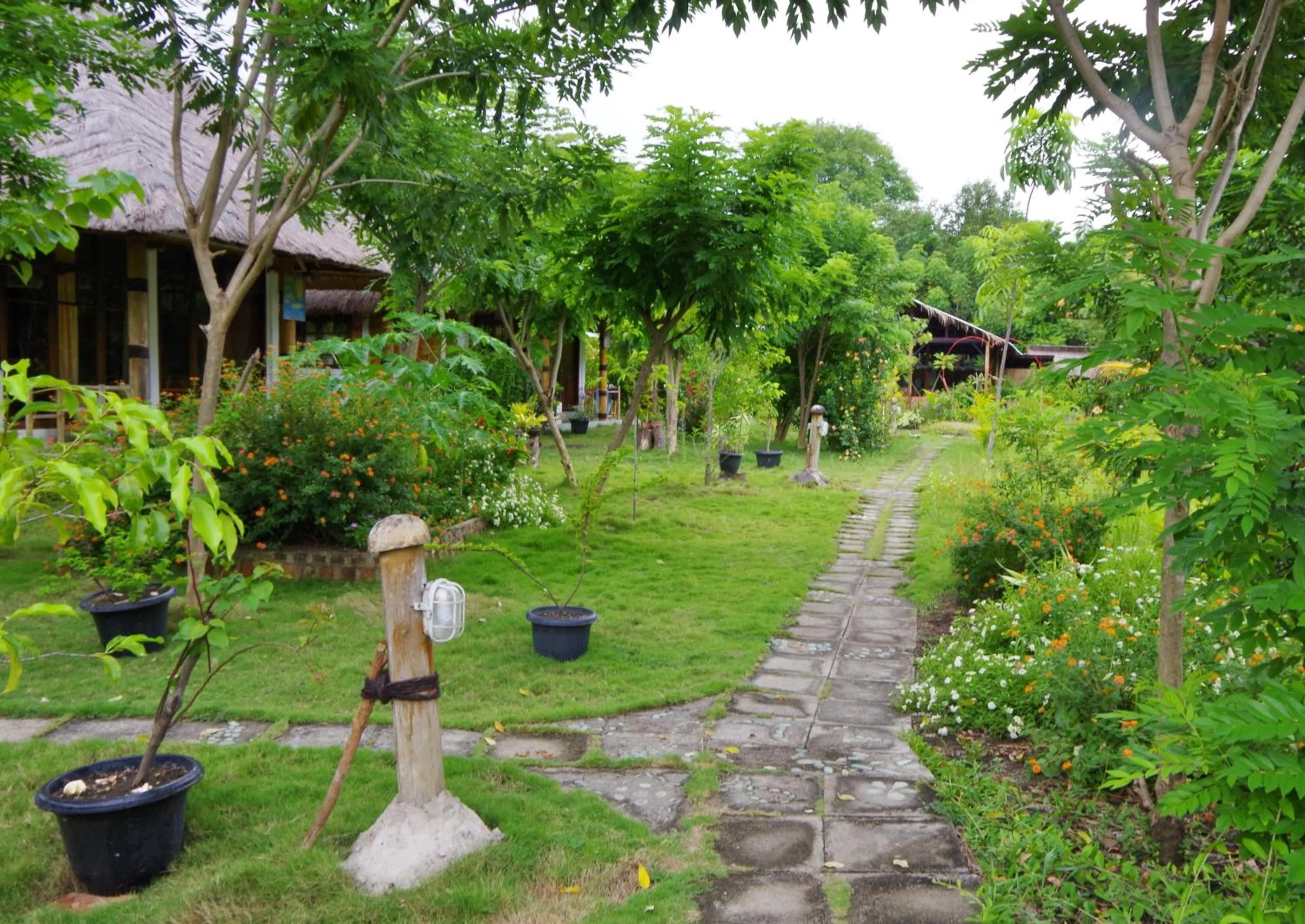 Garden in Budi Sun Resort, Flores, Maumere